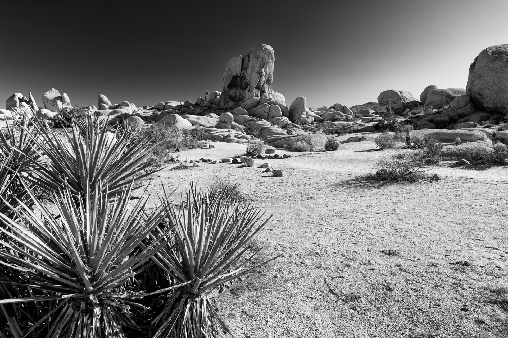 Arch Rock area, Joshua Tree National Park, California