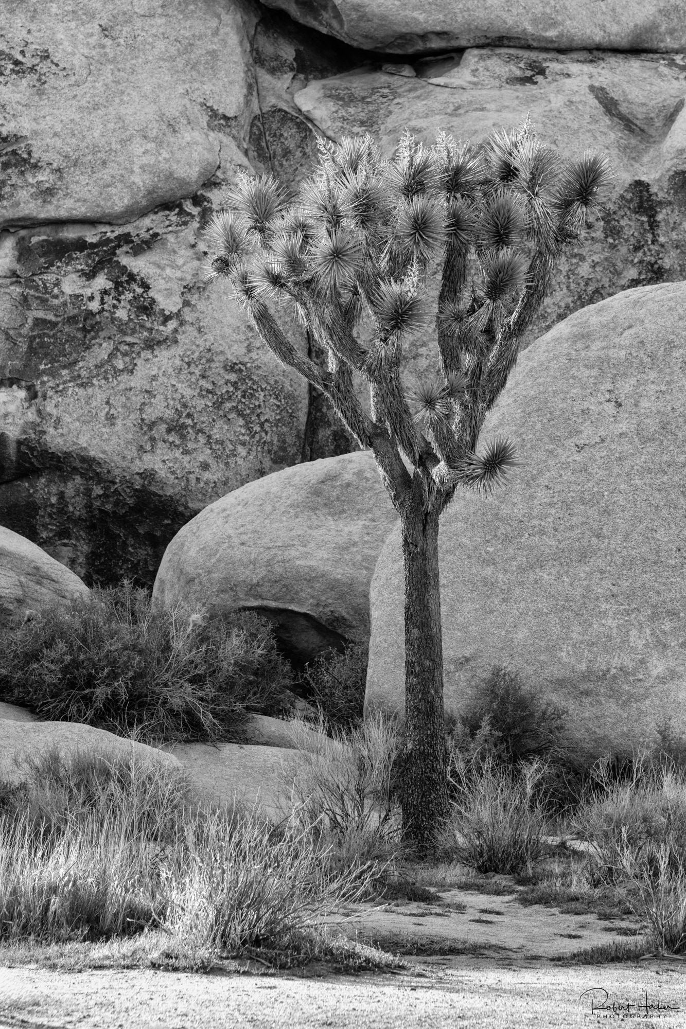 Hall of Horrors, Joshua Tree National Park, California