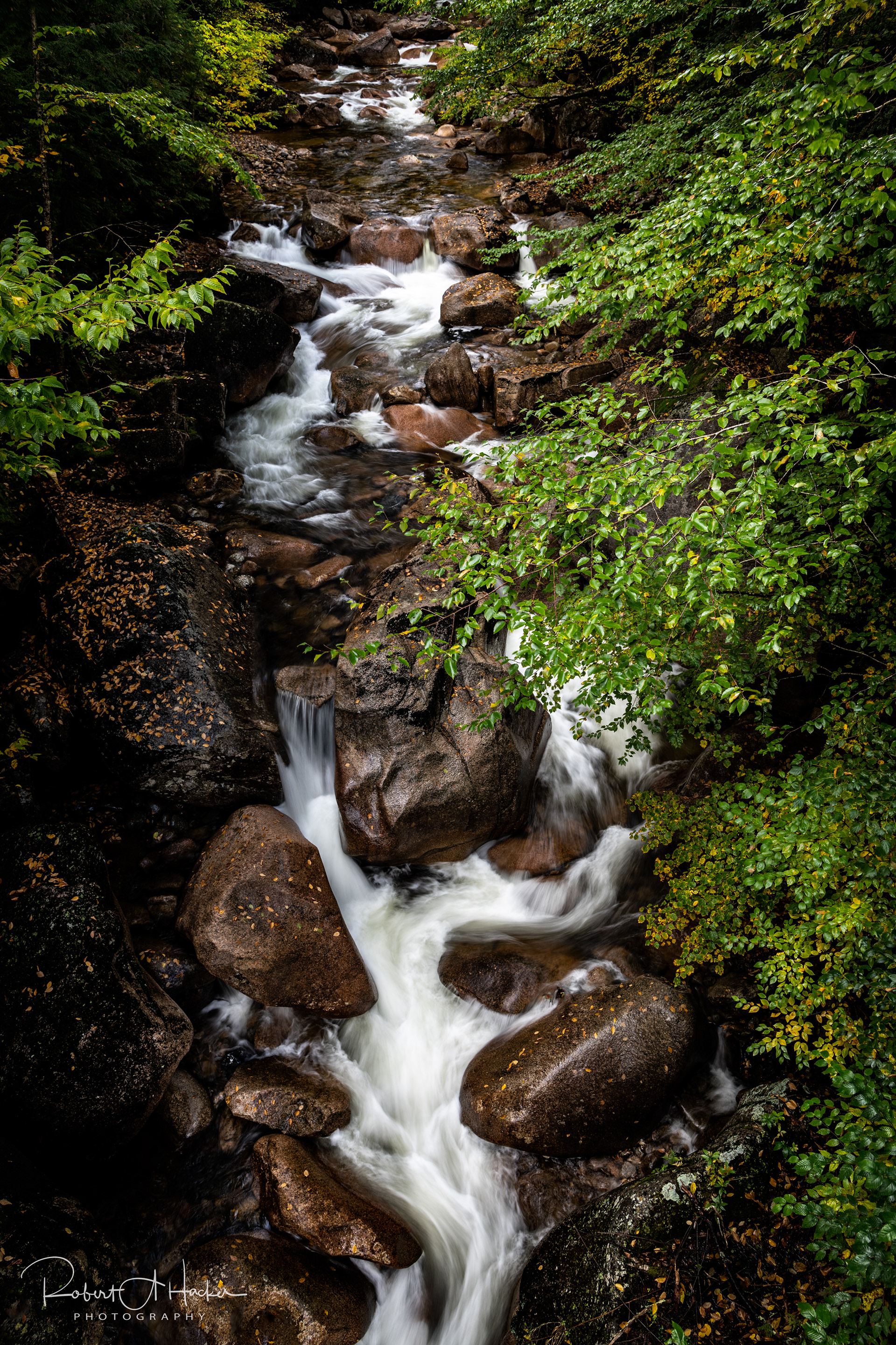 Stream above Avalance Falls, Franconia Notch State Park, Lincoln, NH (on I-93)