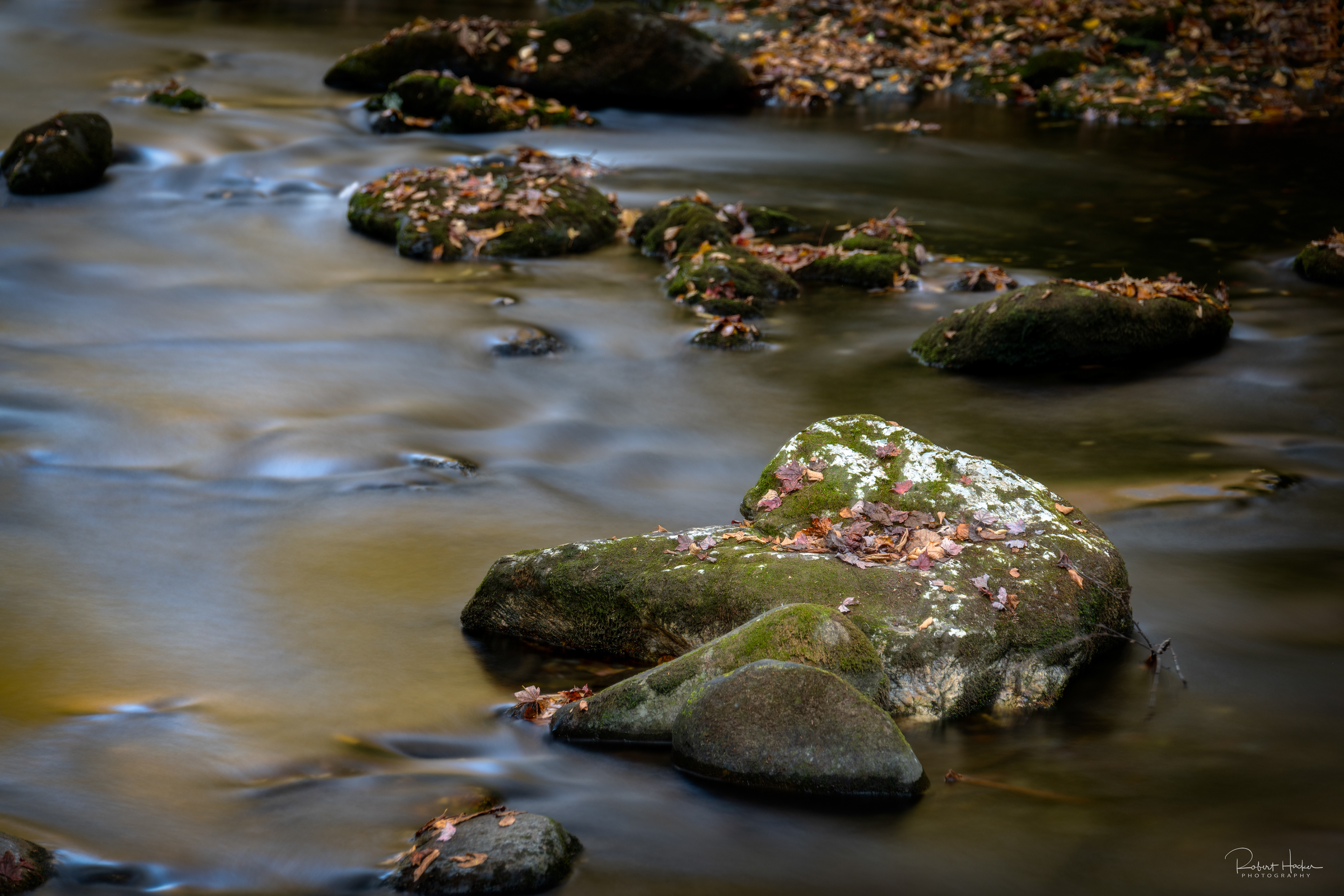 Long exposure, stream along New Found Gap Road, Great Smoky Mountains National Park
