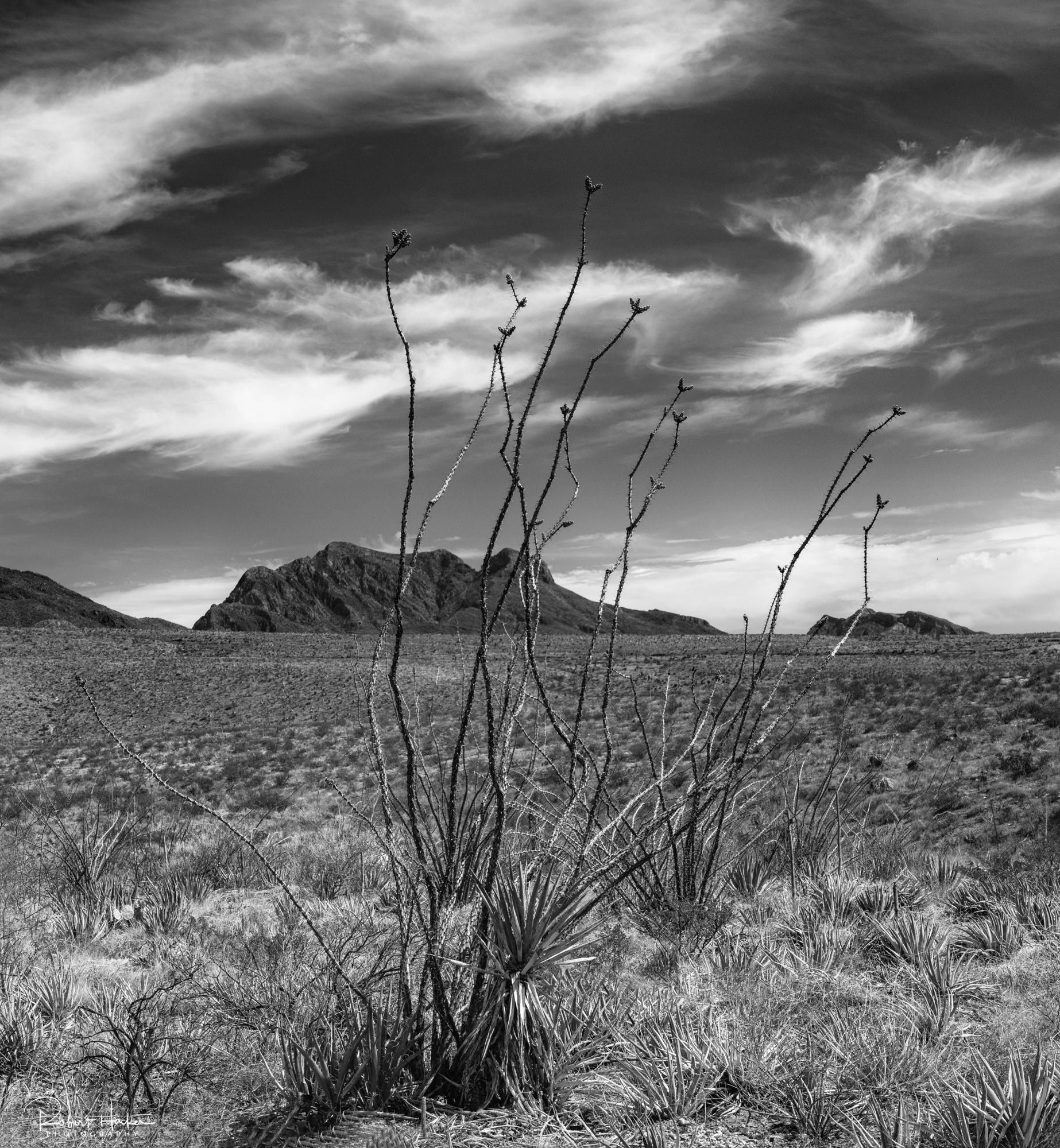 Franklin Mountain State Park landscape, El Paso, Texas