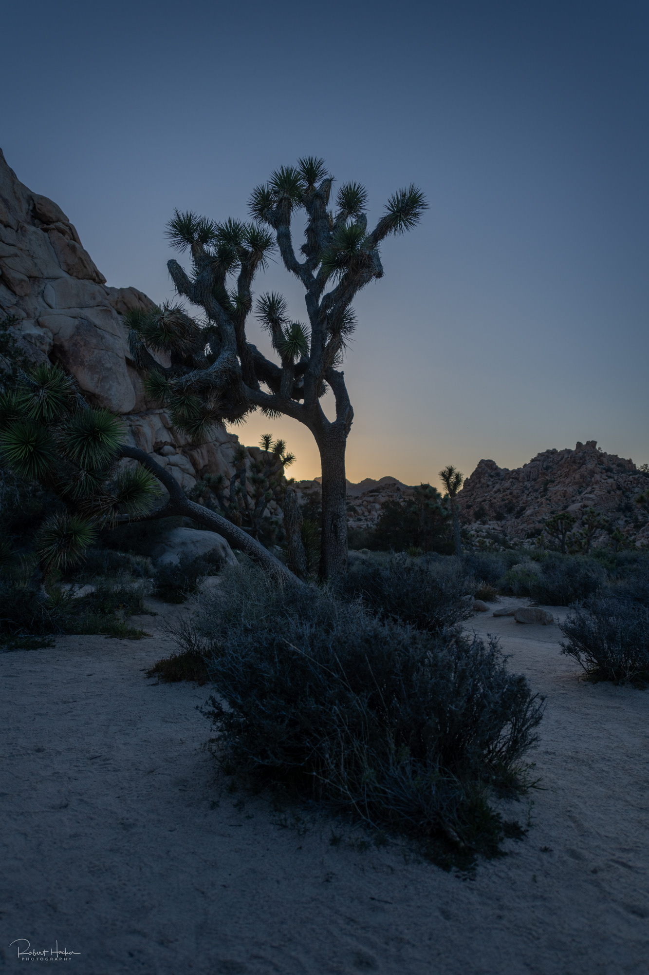 Hidden Valley area, Joshua Tree National Park, California