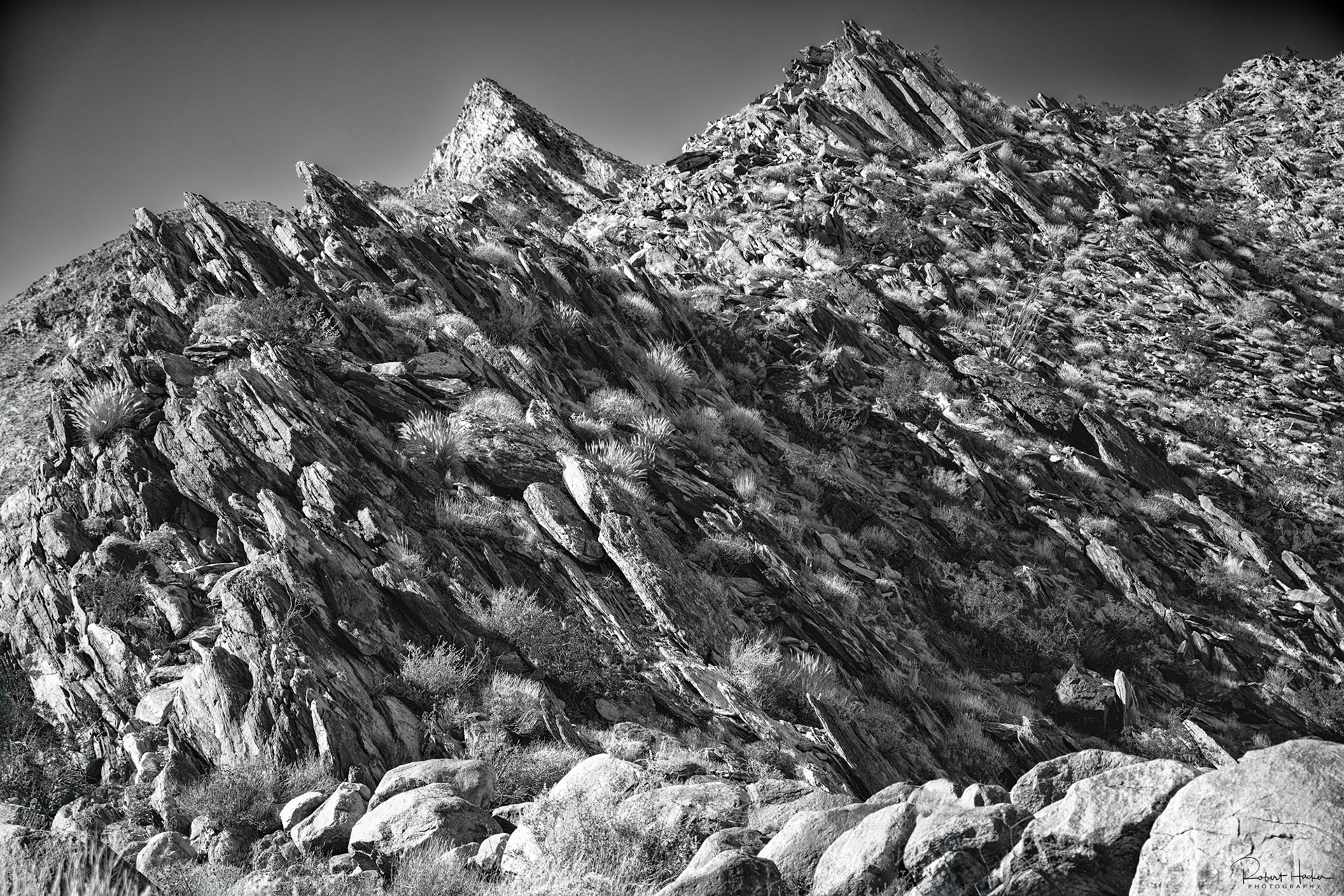 Desert Palm Canyon, Anza-Borrego Desert State Park, California