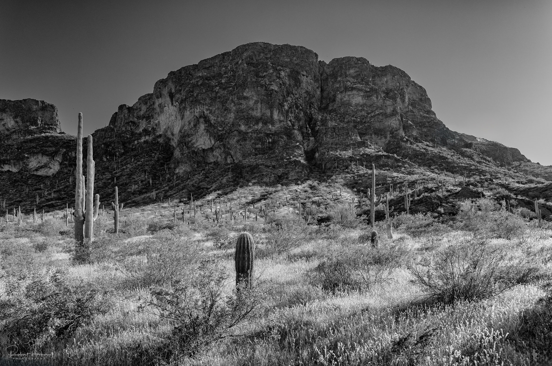 Picacho Peak State Park Landscape, Arizona