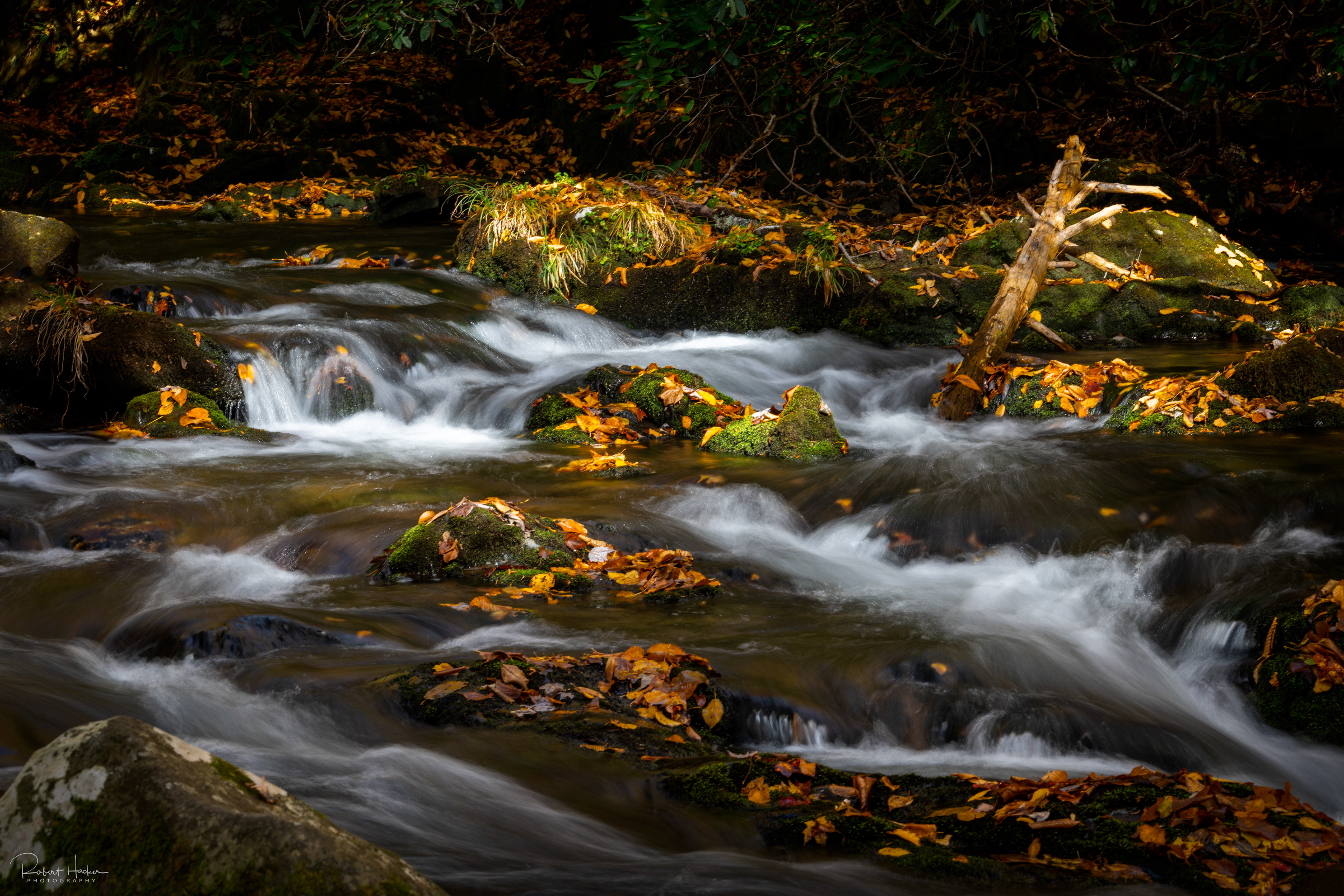 Stream along New Found Gap Road, Great Smoky Mountains National Park