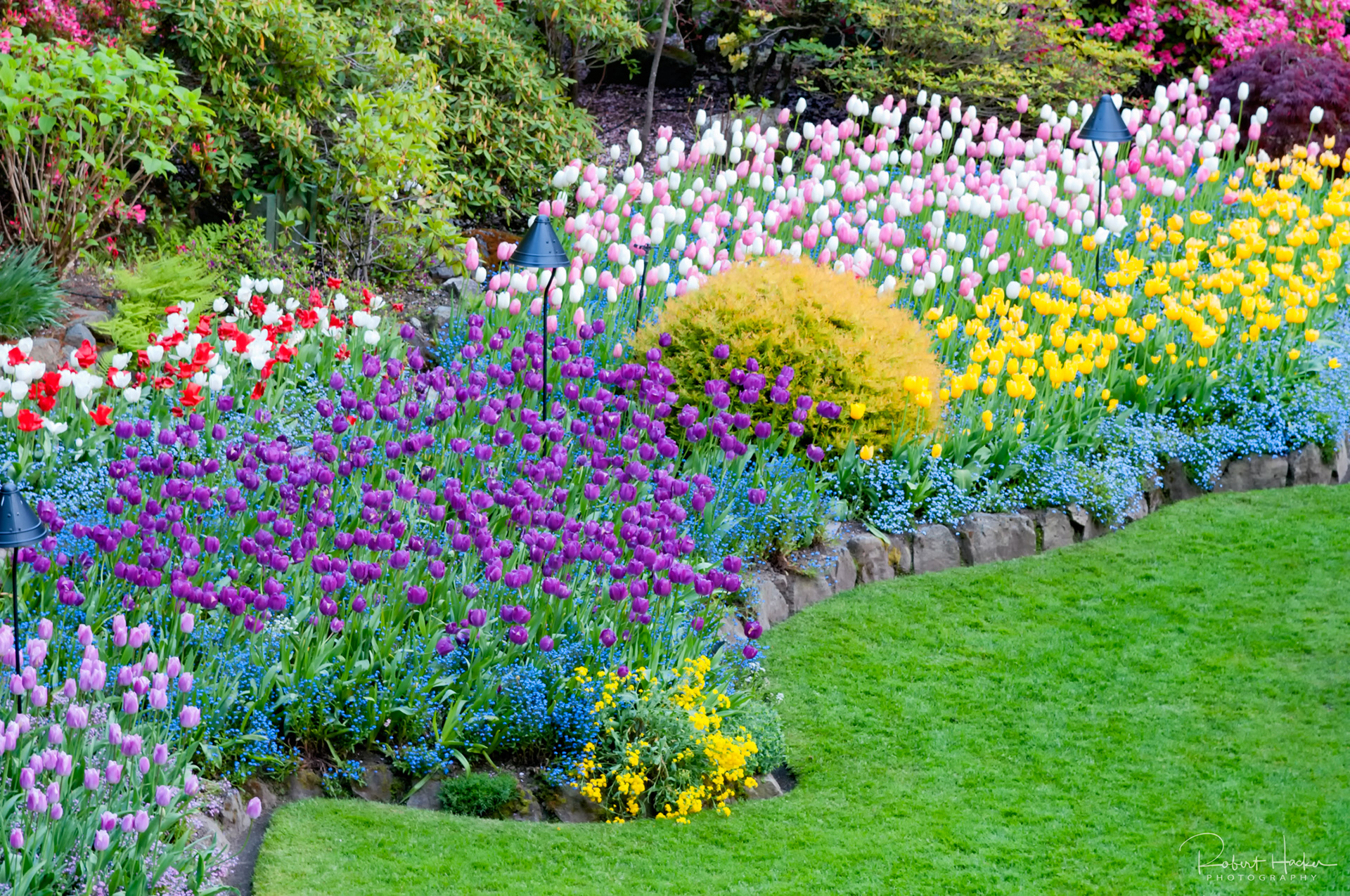 Buchart Gardens, Victoria, BC, Canada