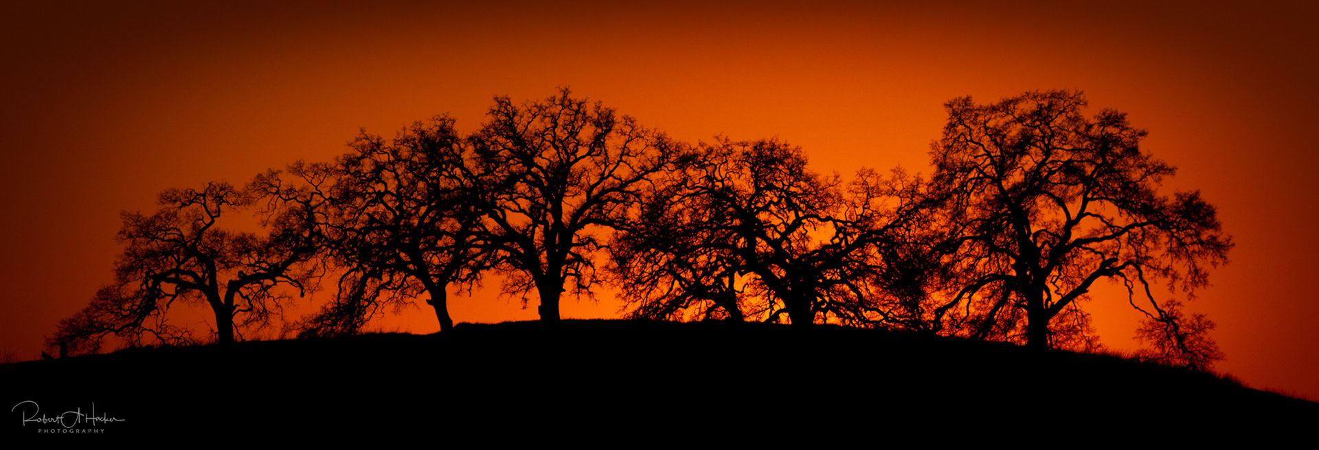 California Oaks Sunset, Latrobe Road, El Dorado Hills, CA