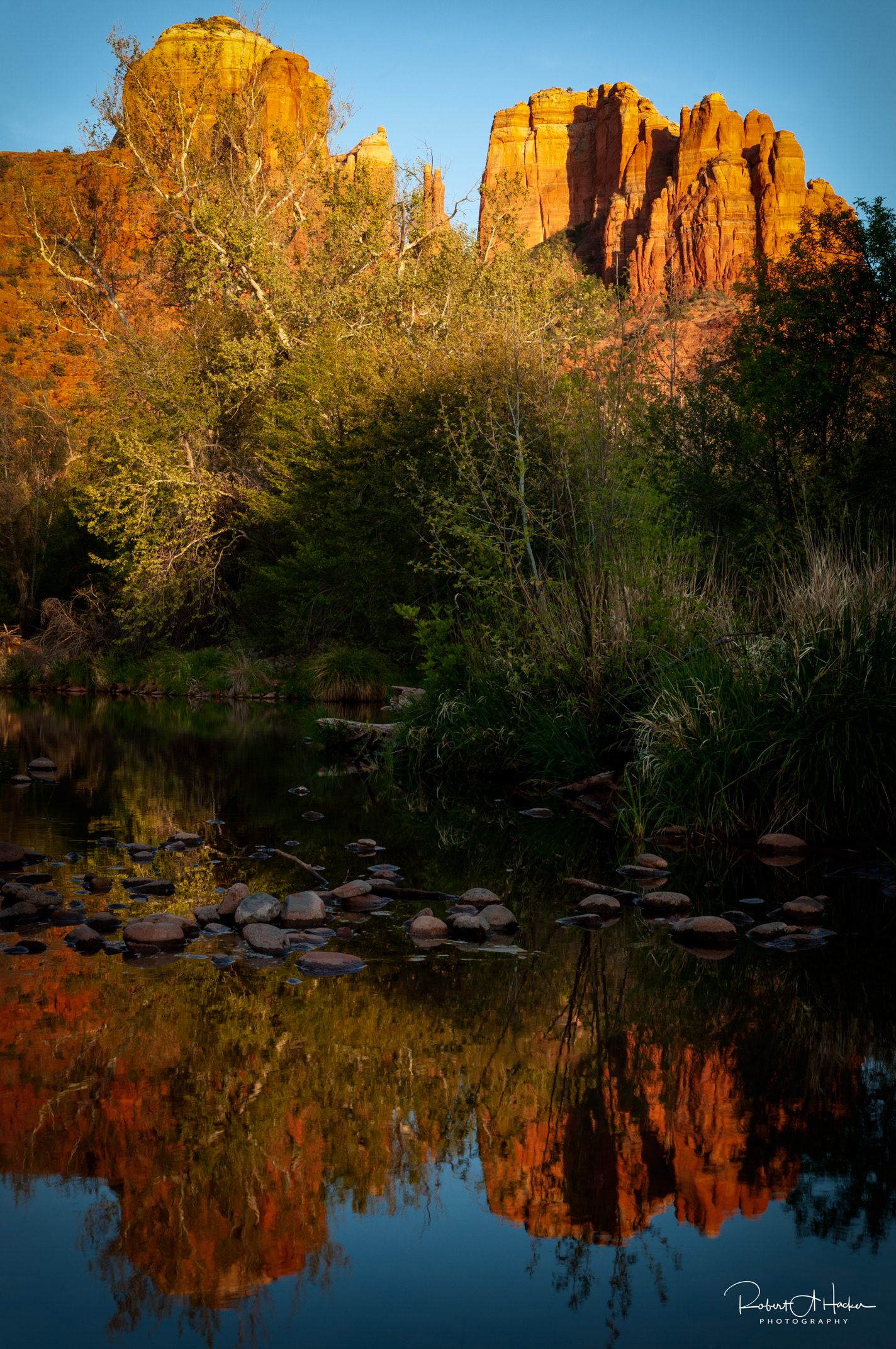 Cathedral Rock, Sedona AZ