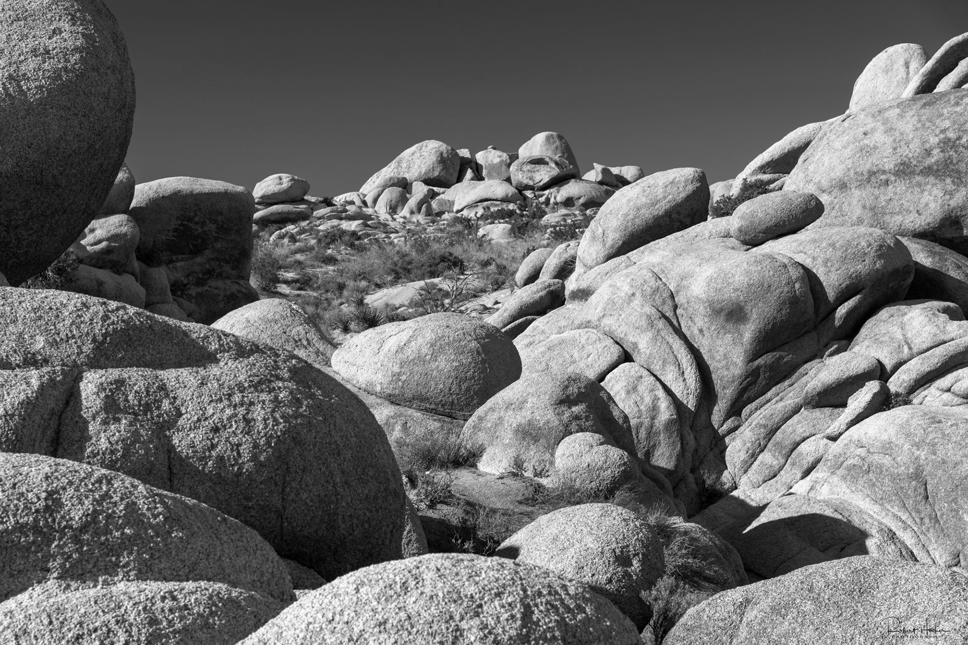 Arch Rock area, Joshua Tree National Park, California