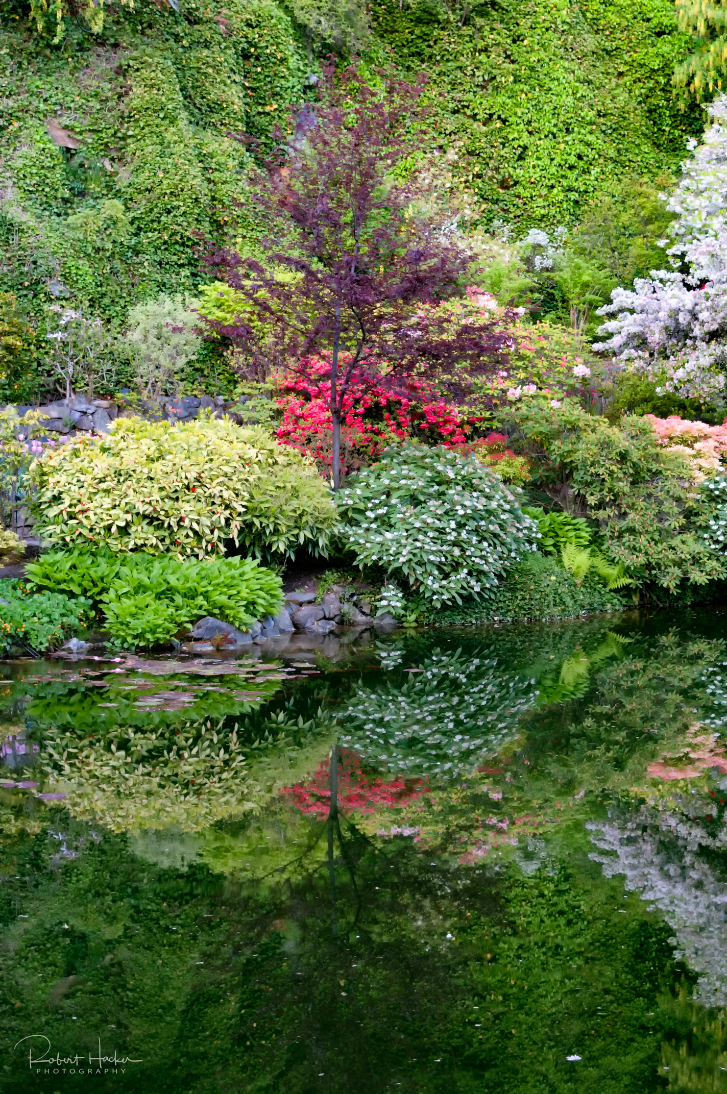 Buchart Gardens, Victoria, BC, Canada