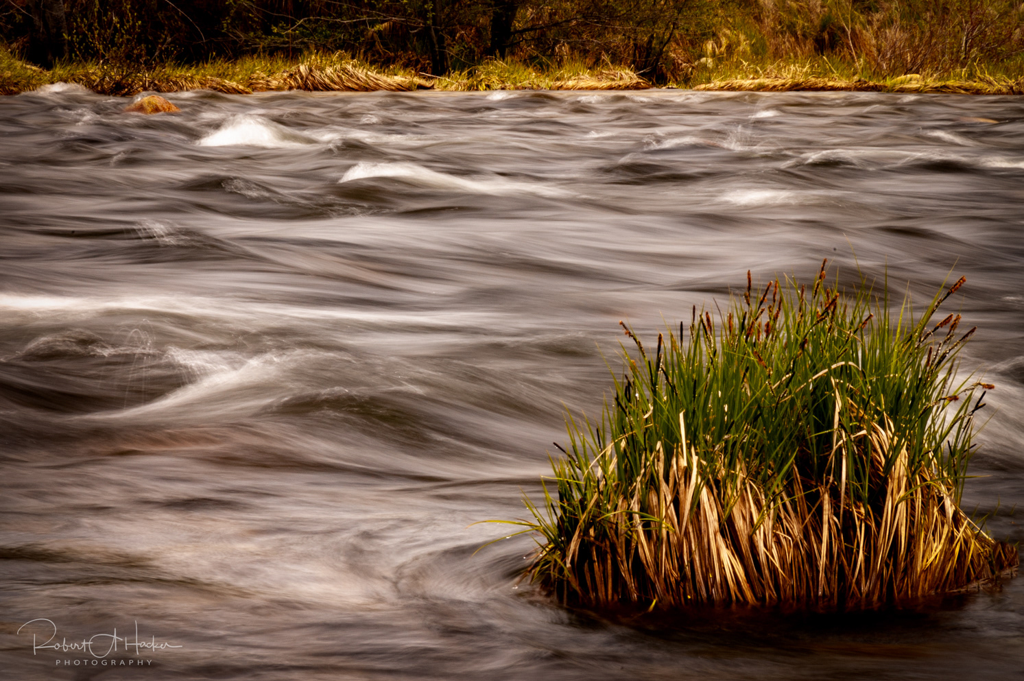 Merced River