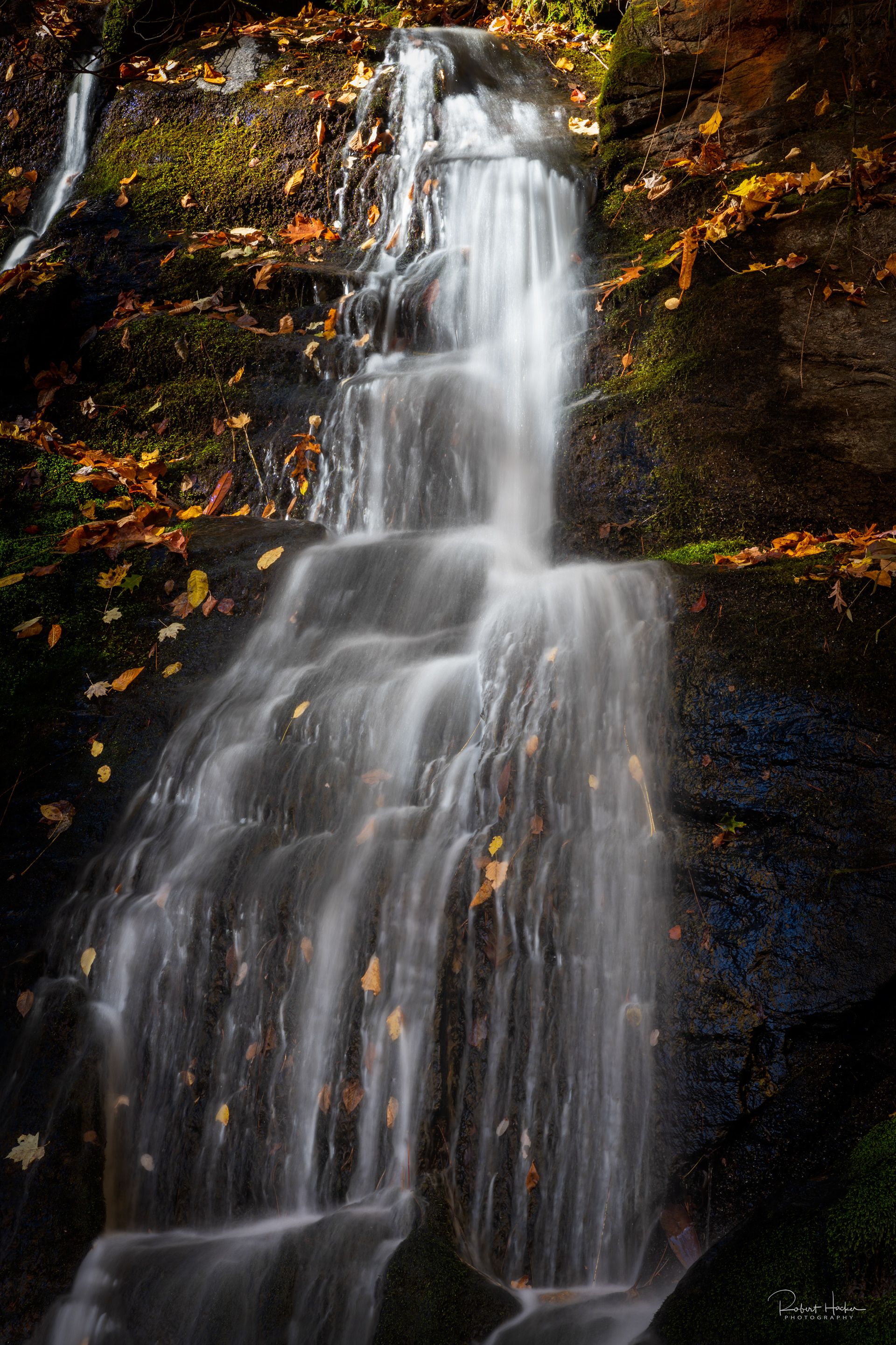 Juney Whank Falls, Great Smoky Mountains National Park