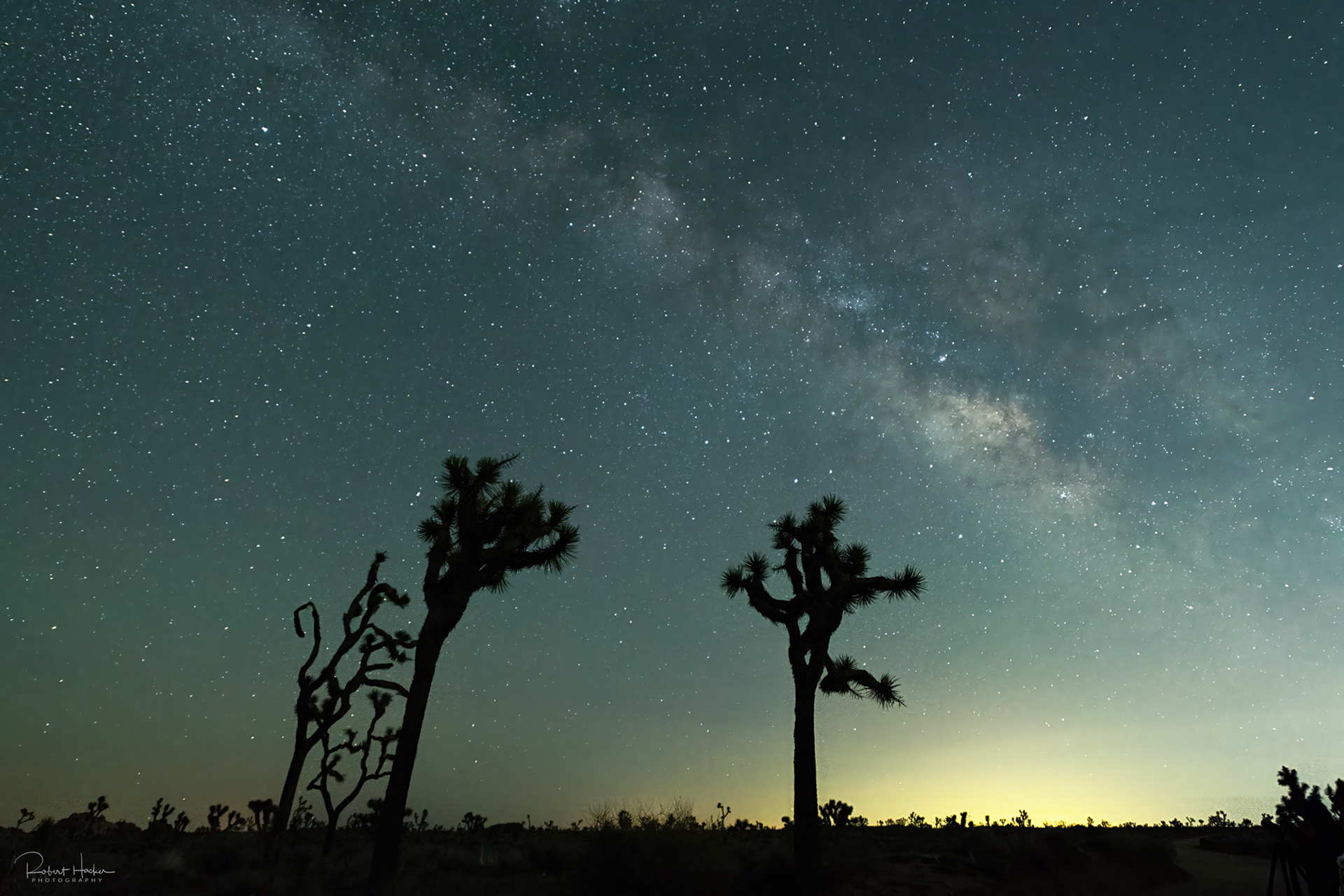 Milky Way, Joshua Tree National Park, California