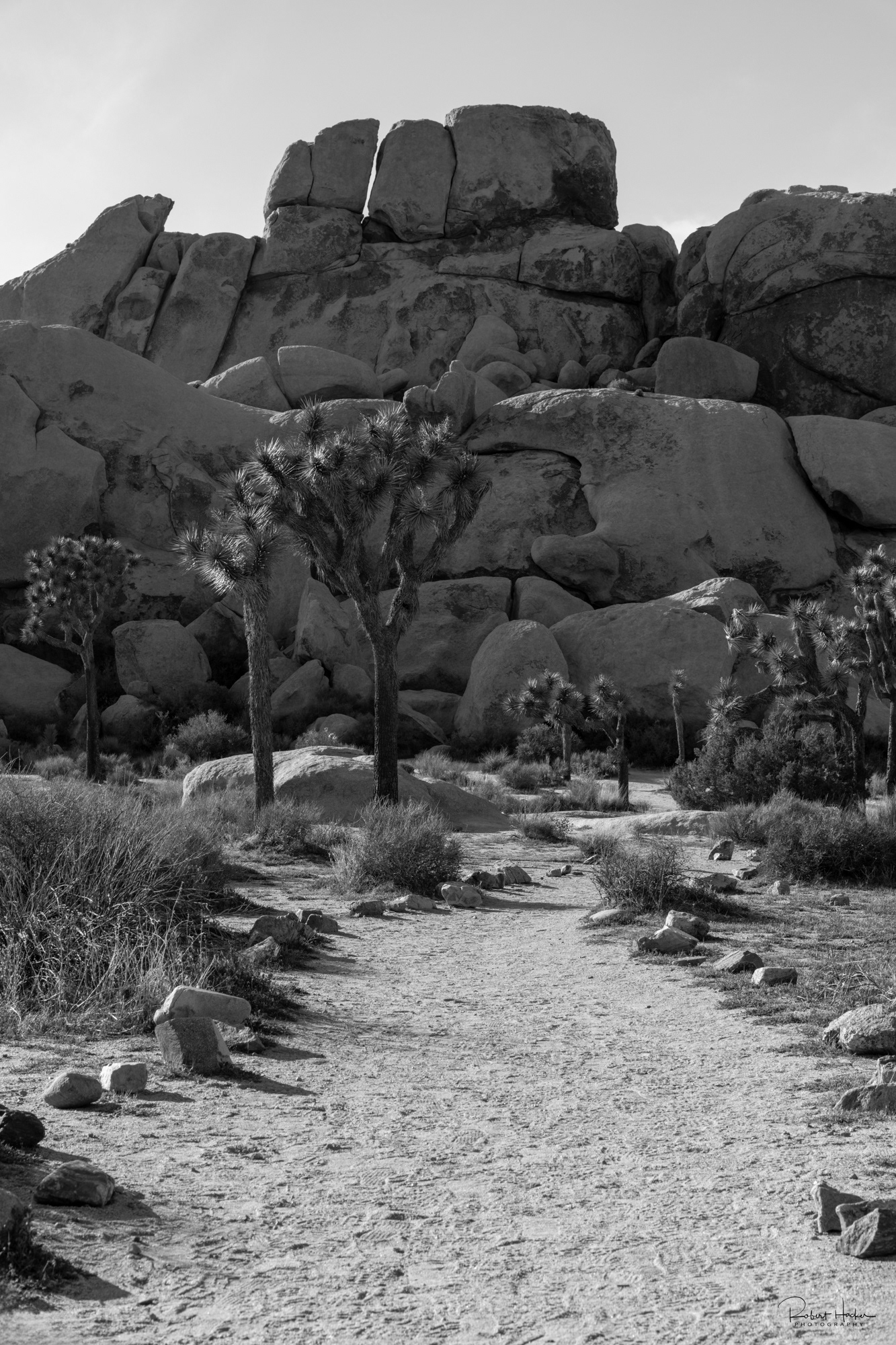 Hall of Horrors, Joshua Tree National Park, California