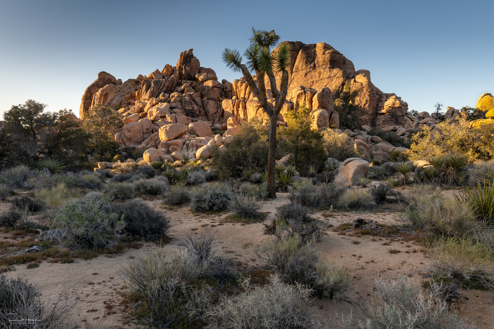 Hidden Valley area, Joshua Tree National Park, California