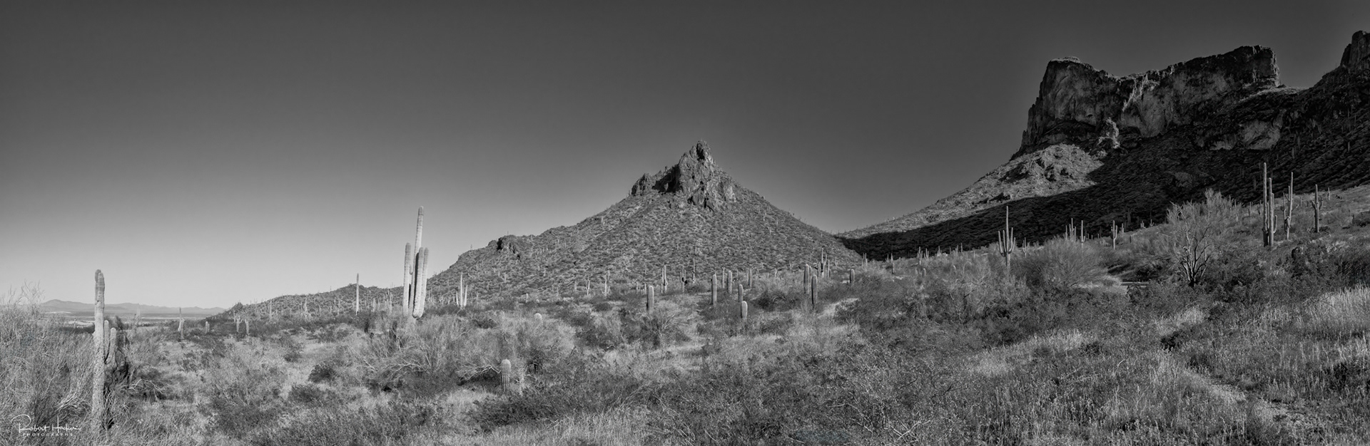 Picacho Peak State Park Panorama, Arizona