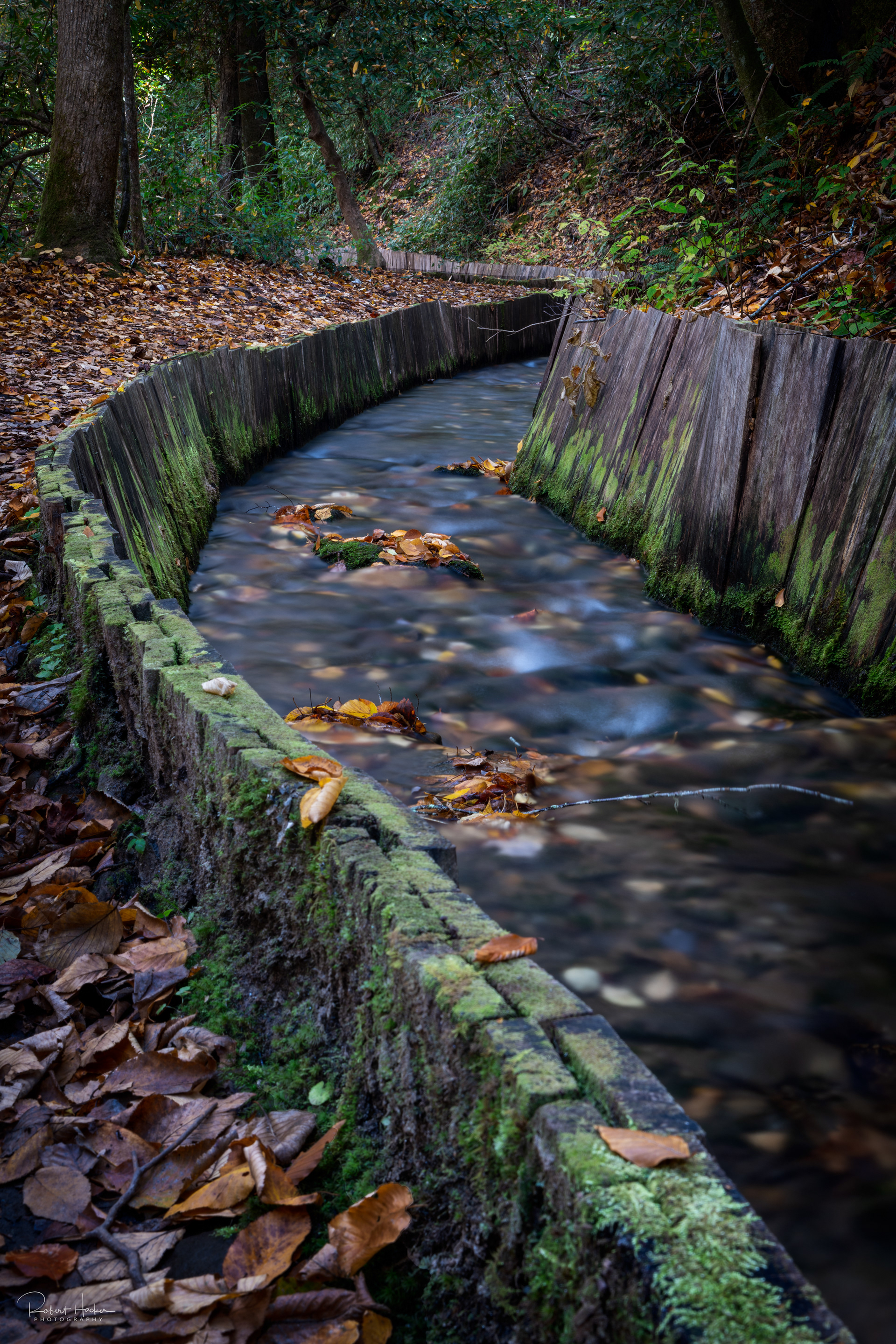 Flume that feeds Mingus Mill, Great Smoky Mountains National Park