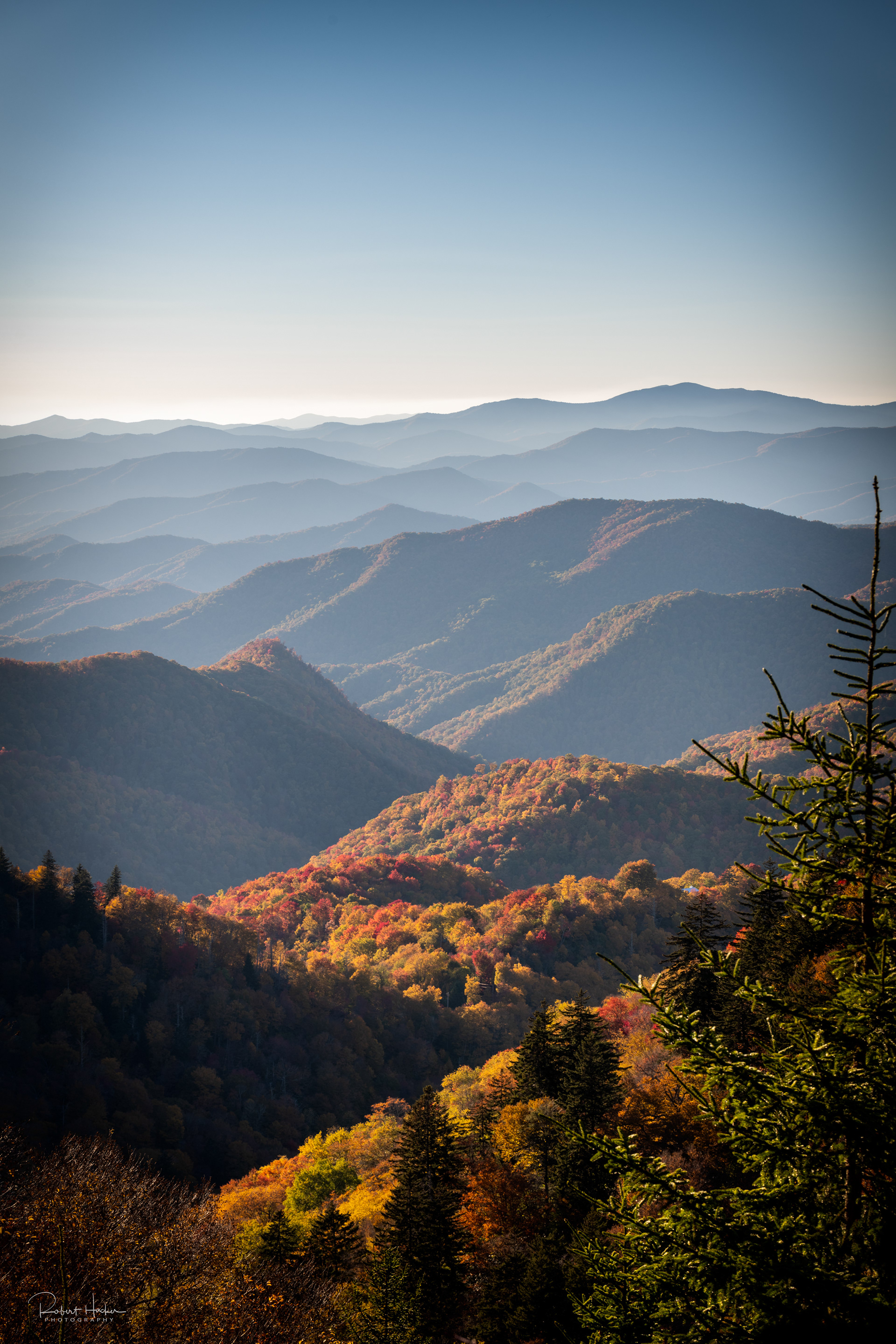 Woolyback Overlook, Blue Ridge Parkway, North Carolina