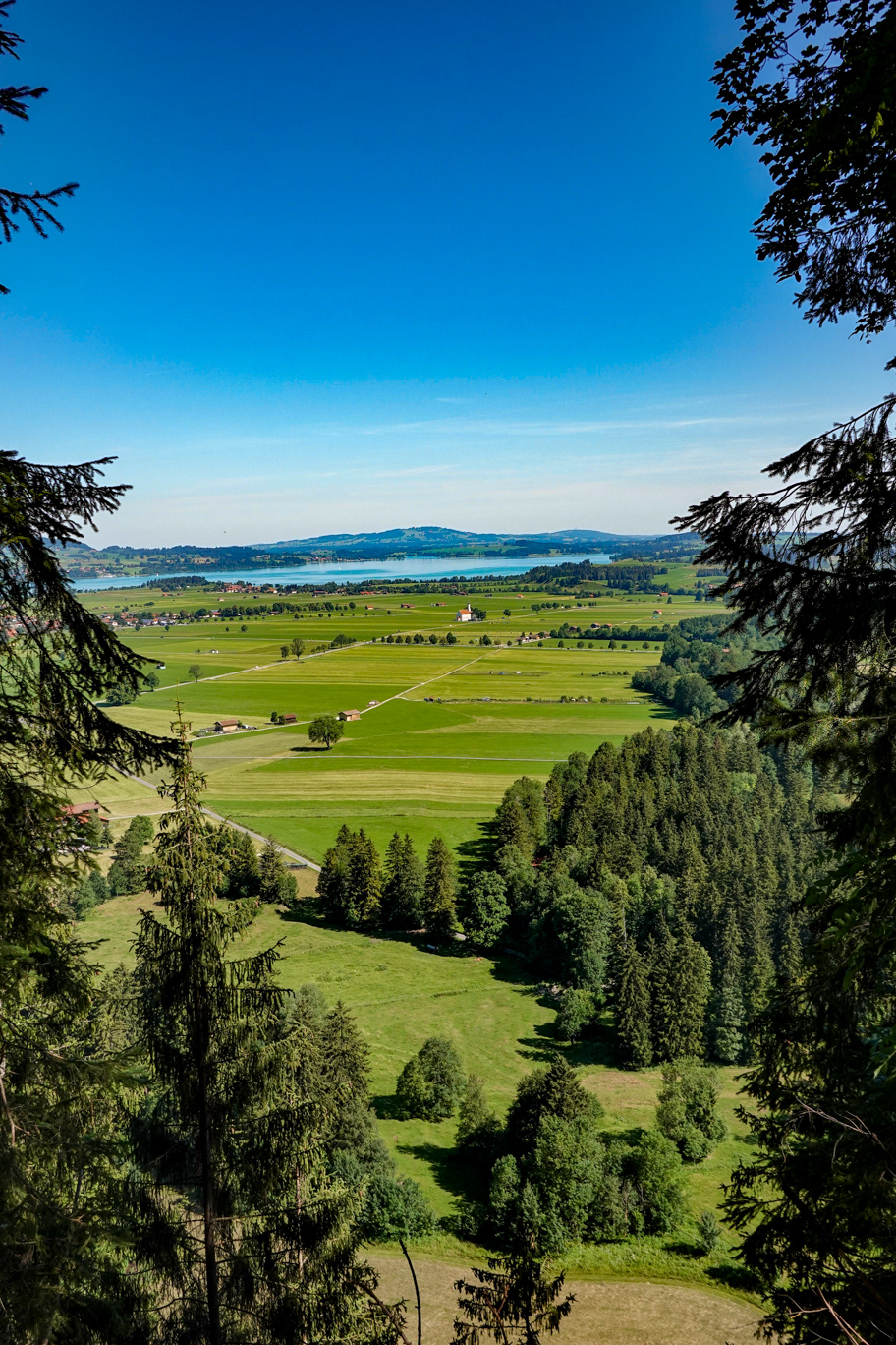View from atop the Neuschwanstein plateau
