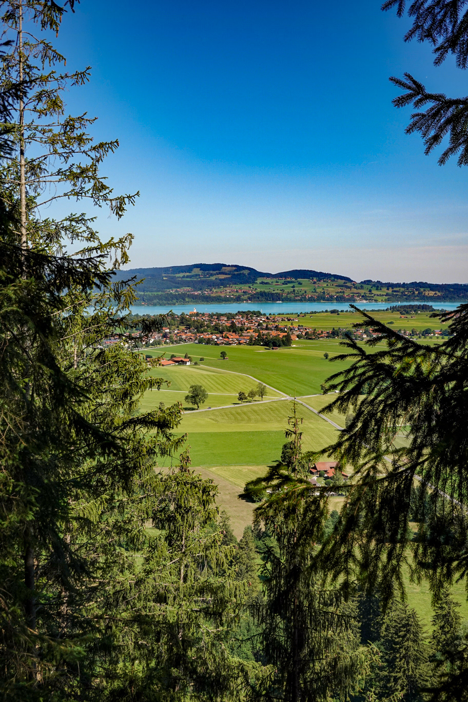 View from atop the Neuschwanstein plateau