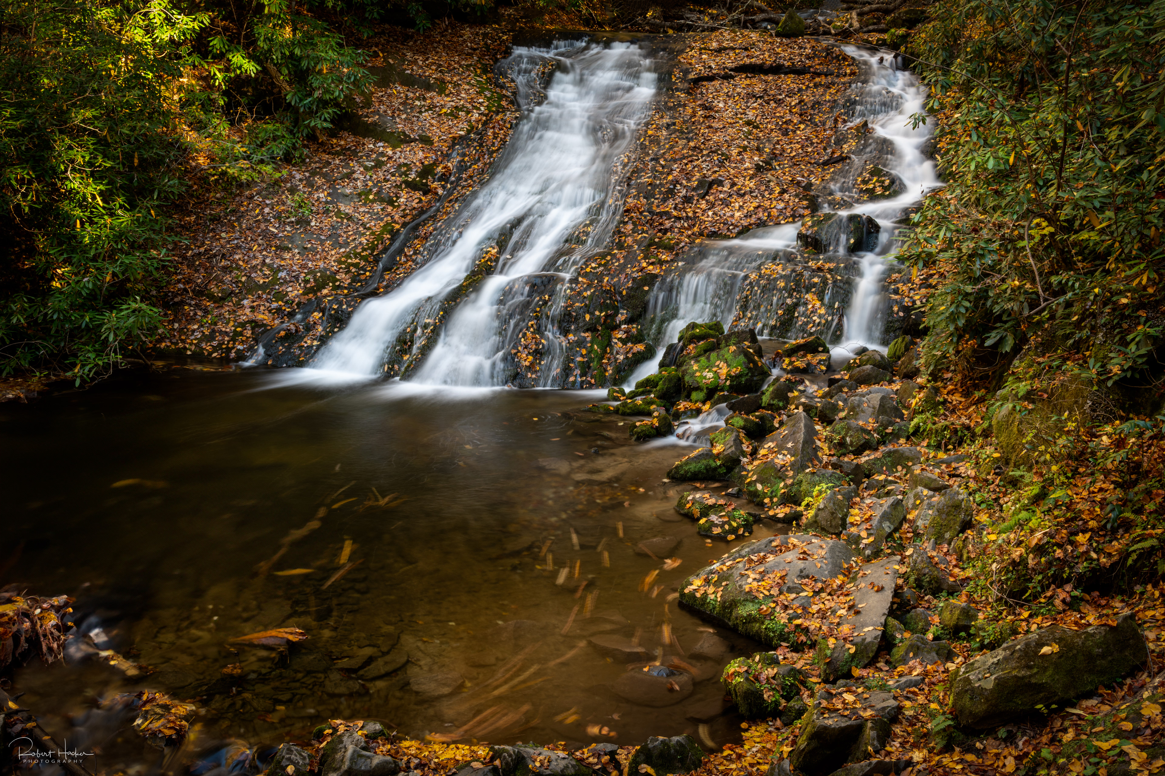 Indian Creek Falls, Great Smoky Mountains National Park