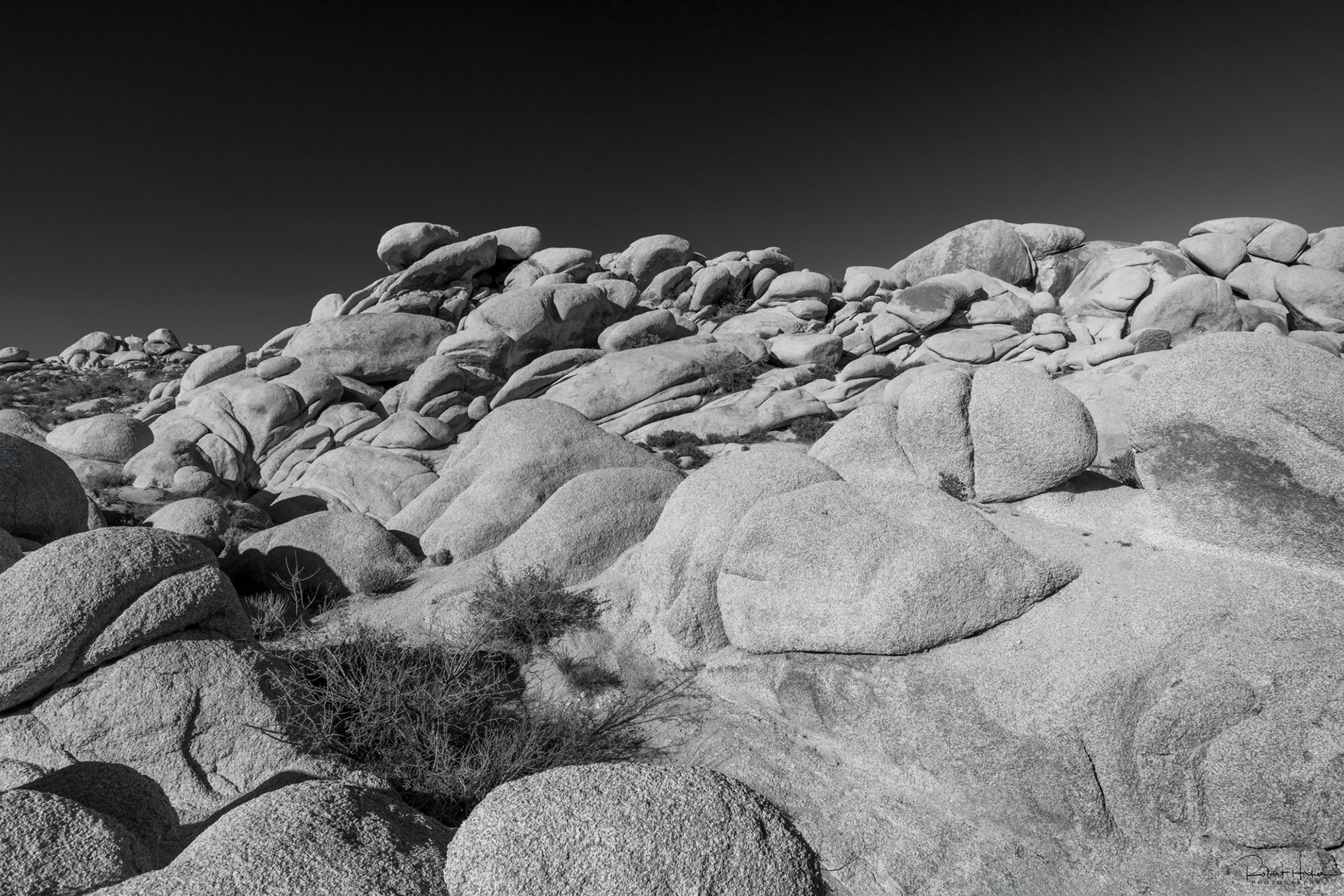 Arch Rock area, Joshua Tree National Park, California