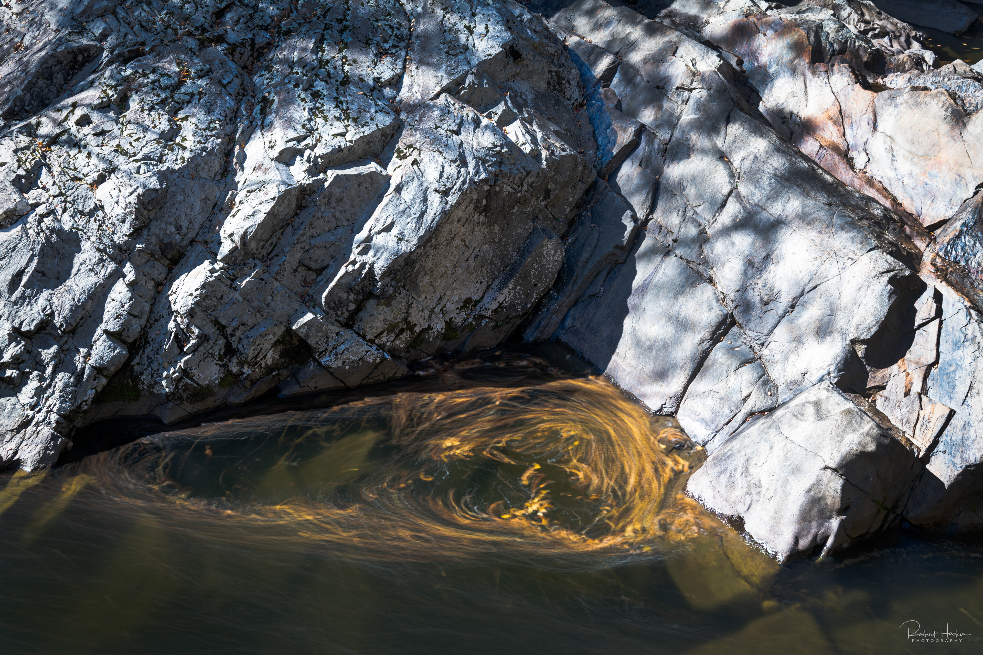 Whirlpool along an unnamed stream, Great Smoky Mountains National Park