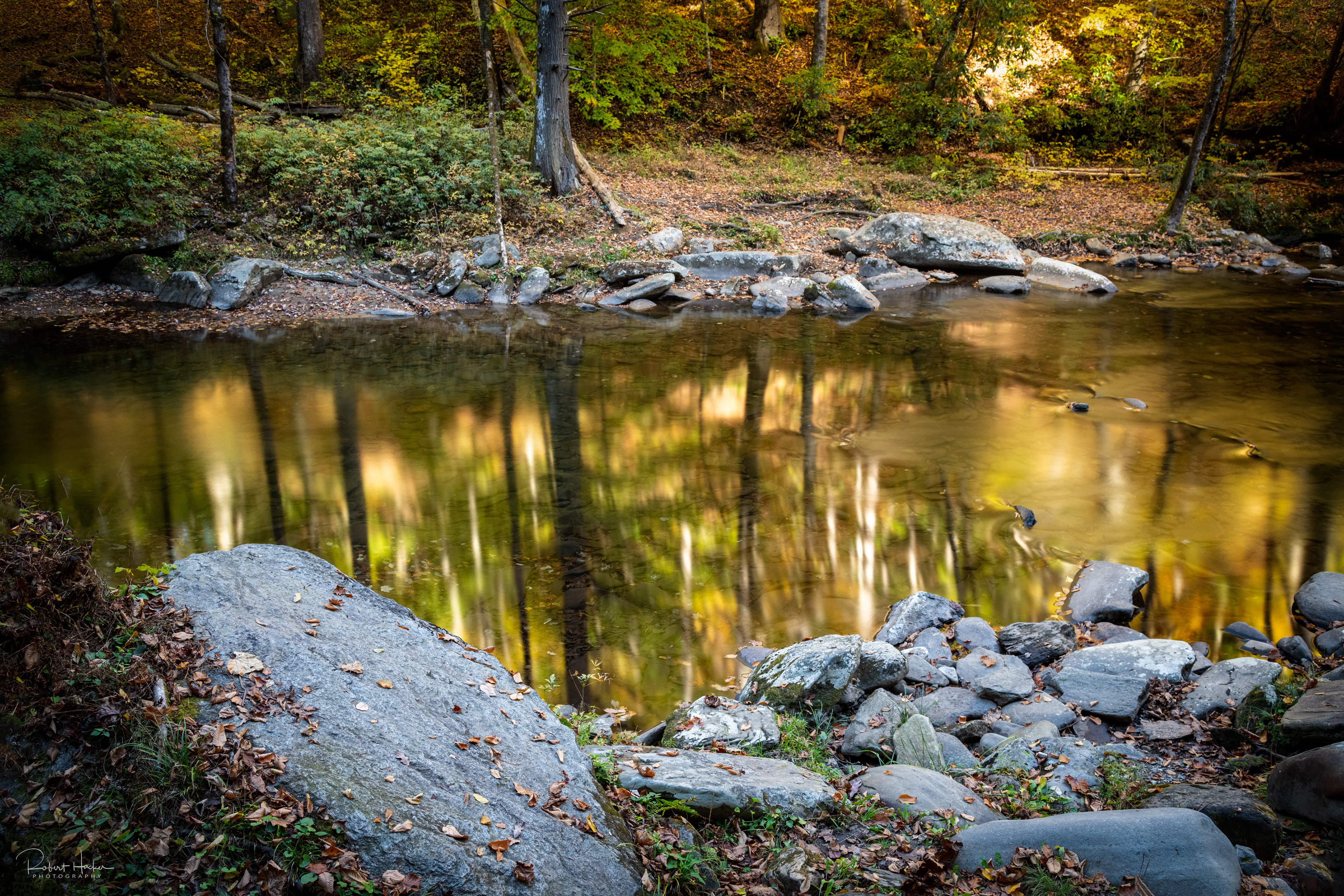 Reflection along the stream near Tom Branch Falls, Great Smoky Mountains National Park