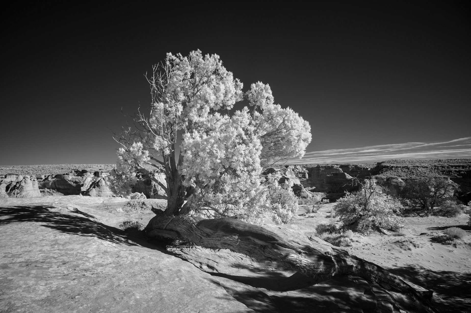Canyon de Chelly National Monument, Arizona