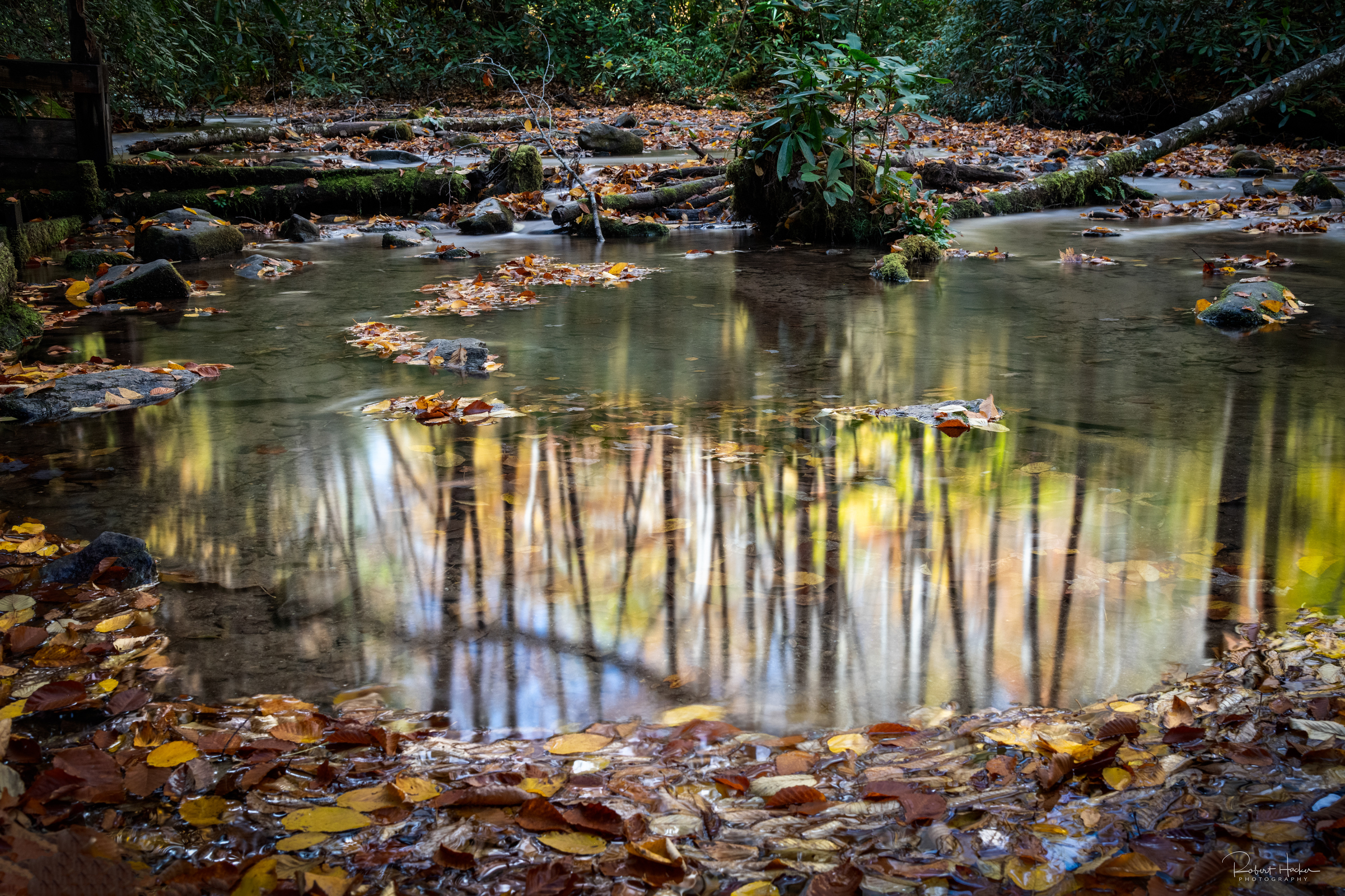 Reflection in the stream that feeds the flume at Mingus Mill, Great Smoky Mountains National Park