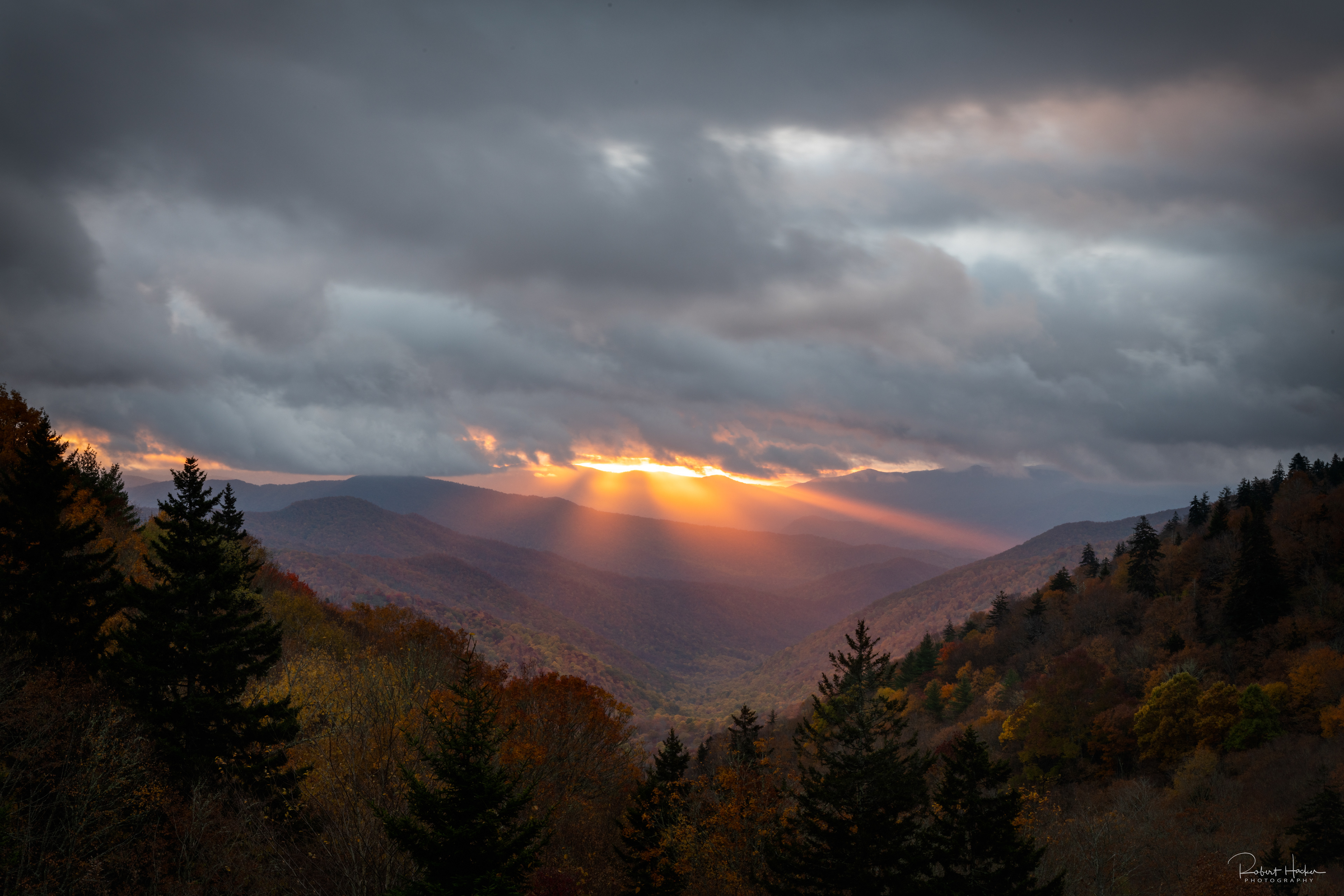 Sunrise along New Found Gap Road, Great Smoky Mountains National Park