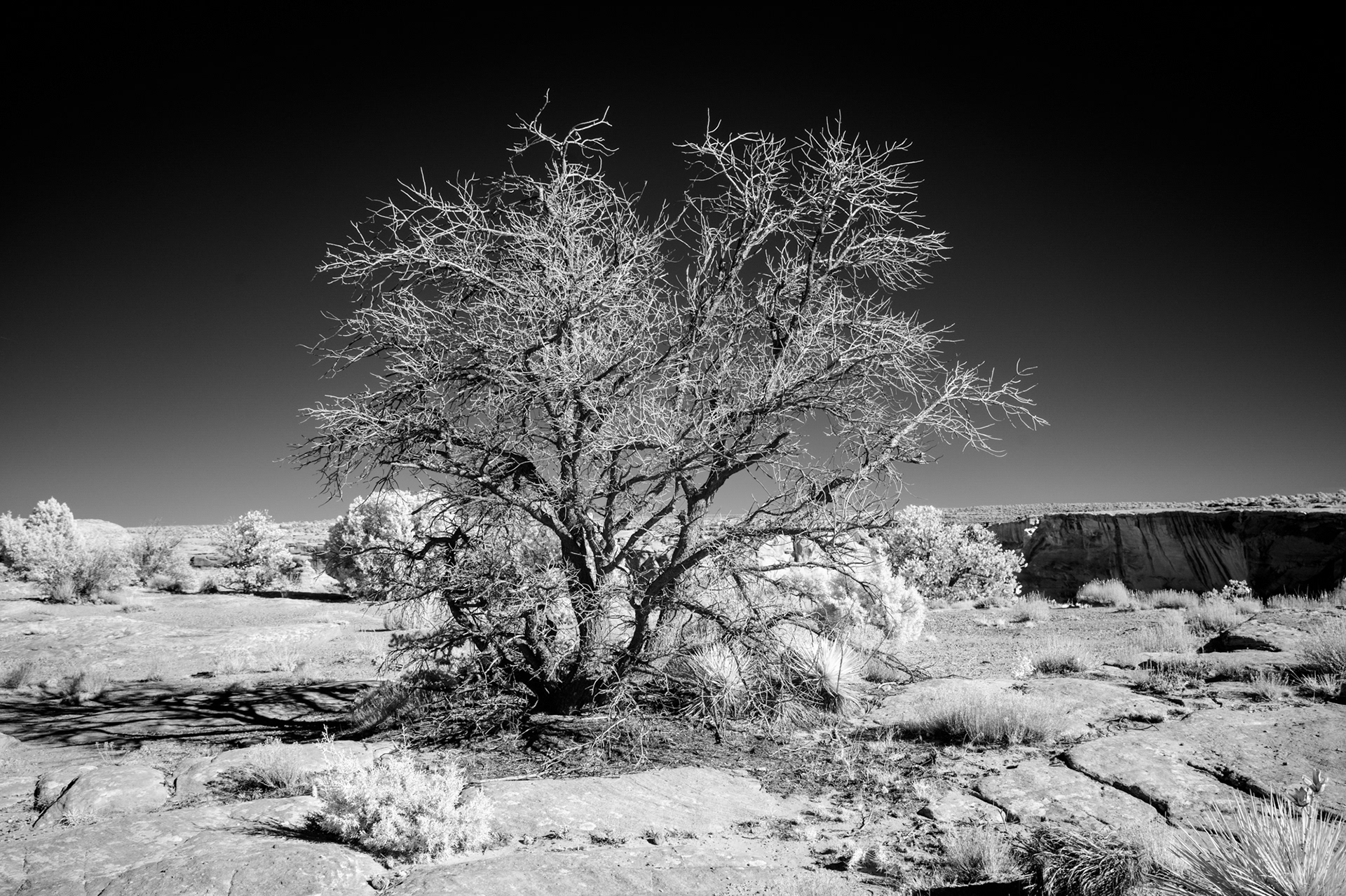 Canyon de Chelly National Monument, Arizona