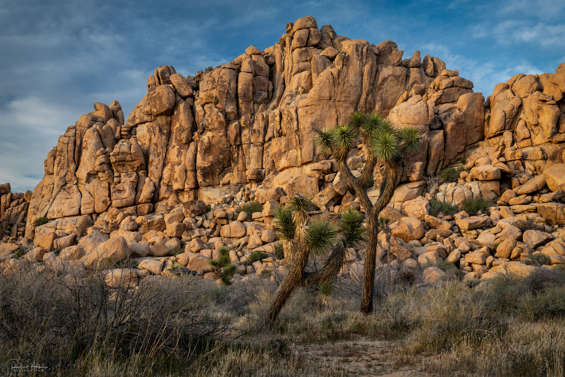 Hemingway area, Joshua Tree National Park, California