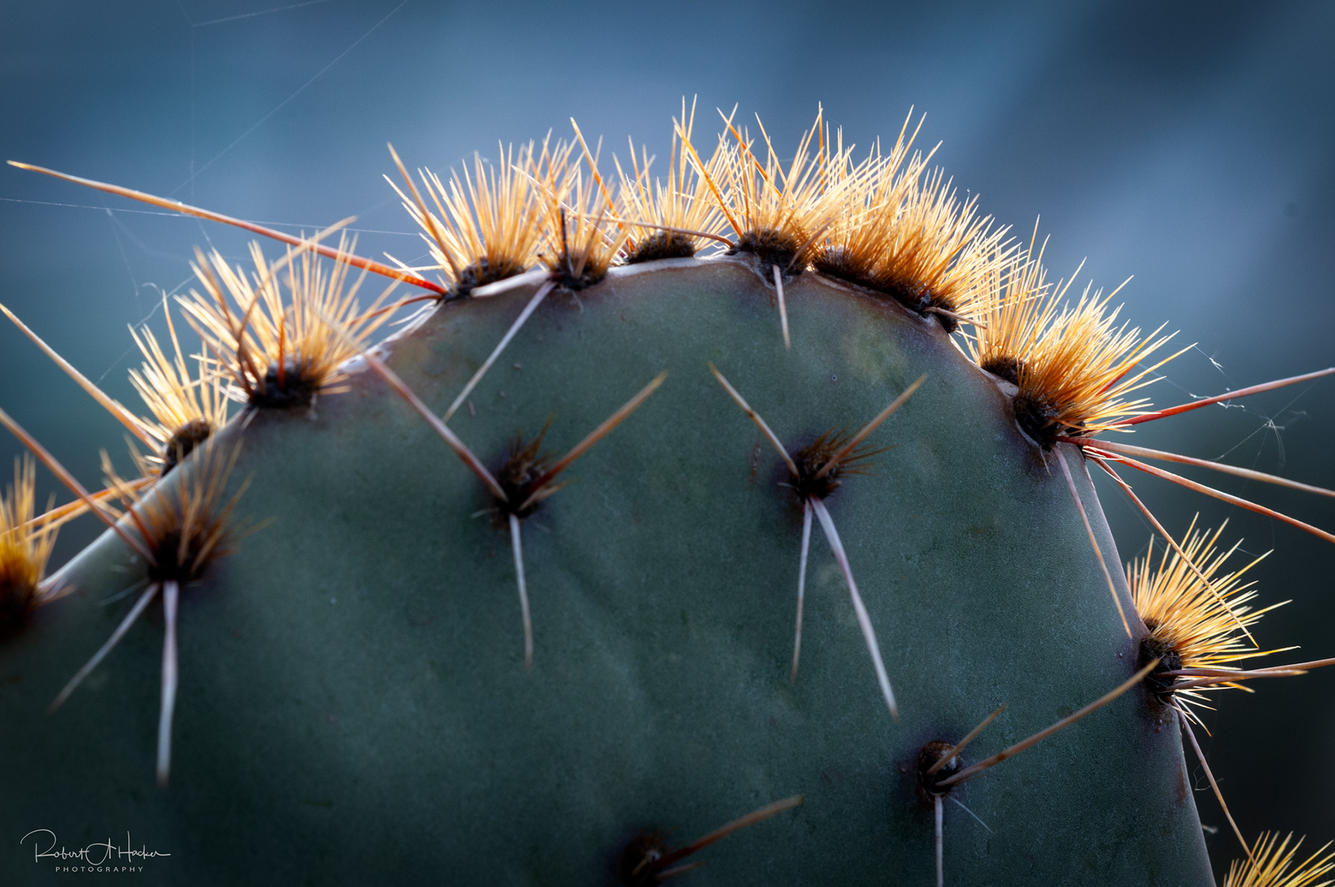 Doe Mountain, Sedona AZ