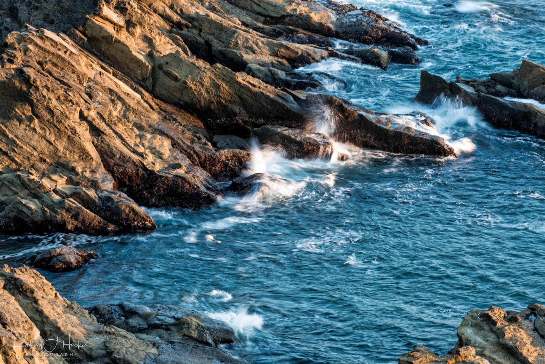 Shore Acres State Park, Coos Bay, Oregon