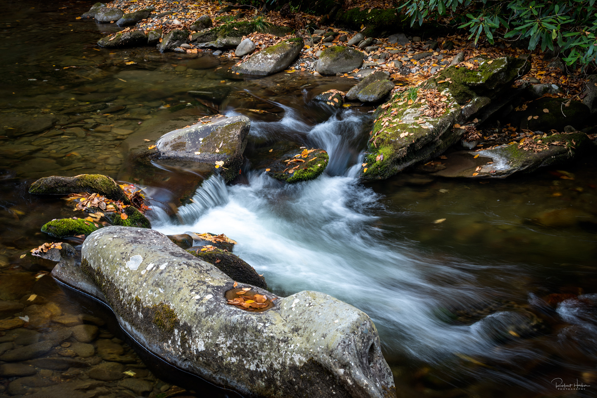 Stream along New Found Gap Road, Great Smoky Mountains National Park
