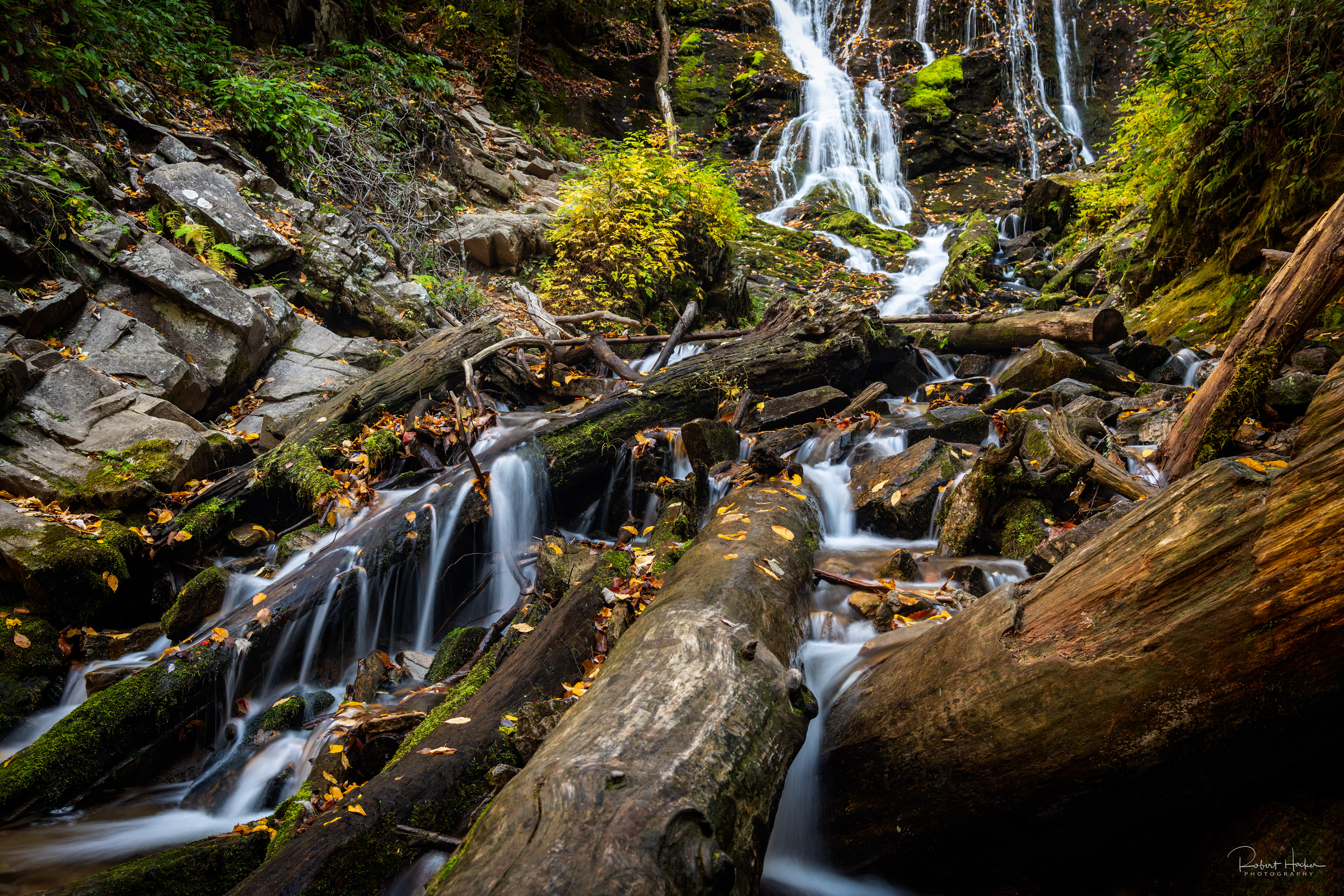 Stream below Mingo Falls, Great Smoky Mountains National Park