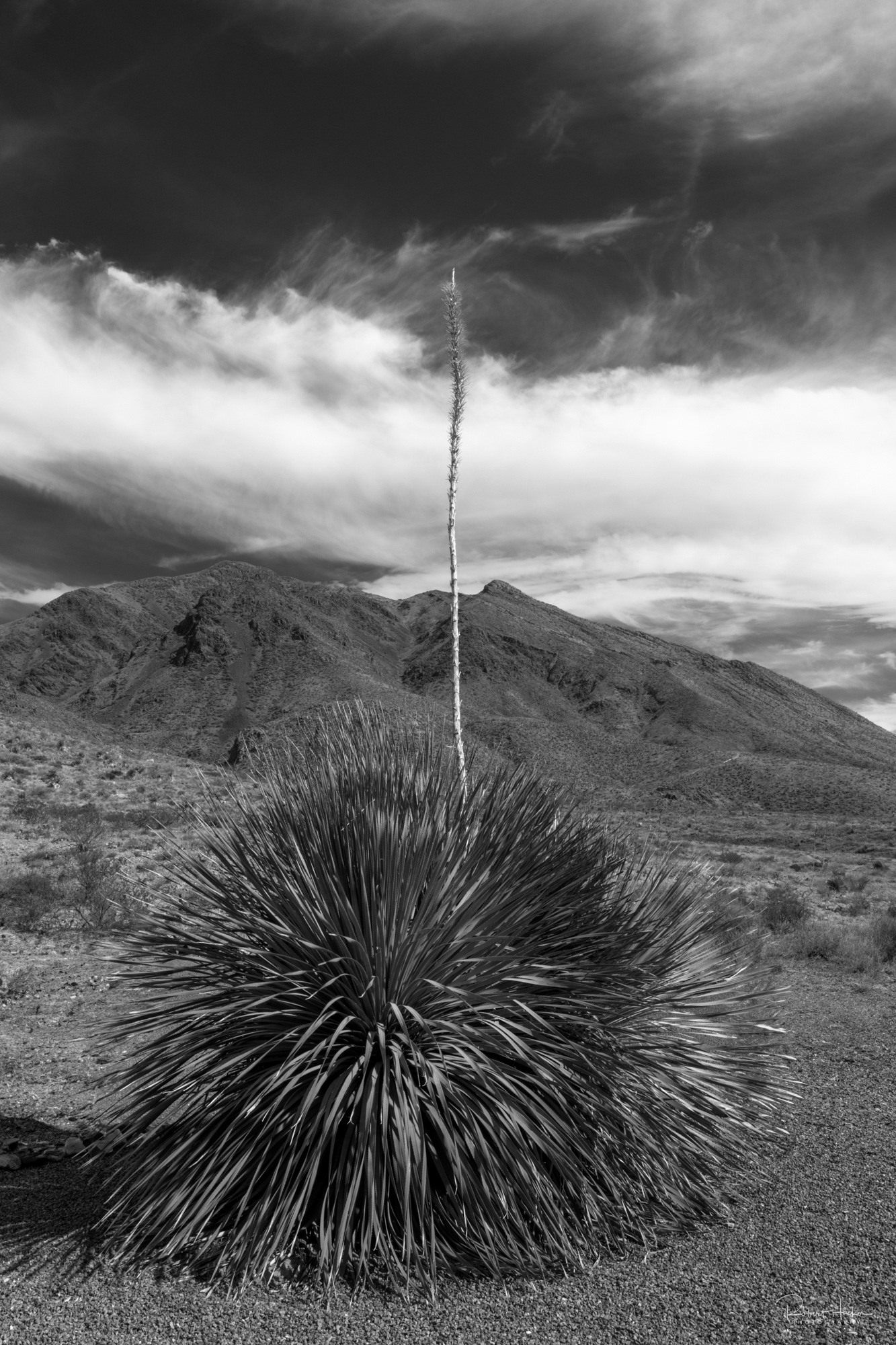 Franklin Mountain State Park landscape, El Paso, Texas
