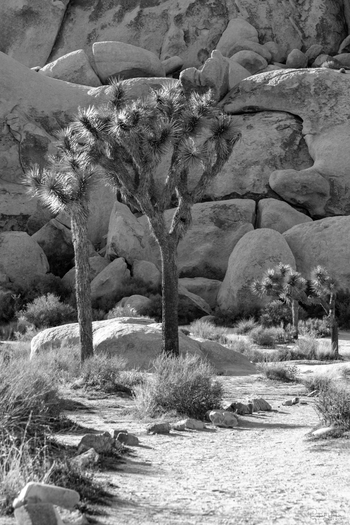 Hall of Horrors, Joshua Tree National Park, California