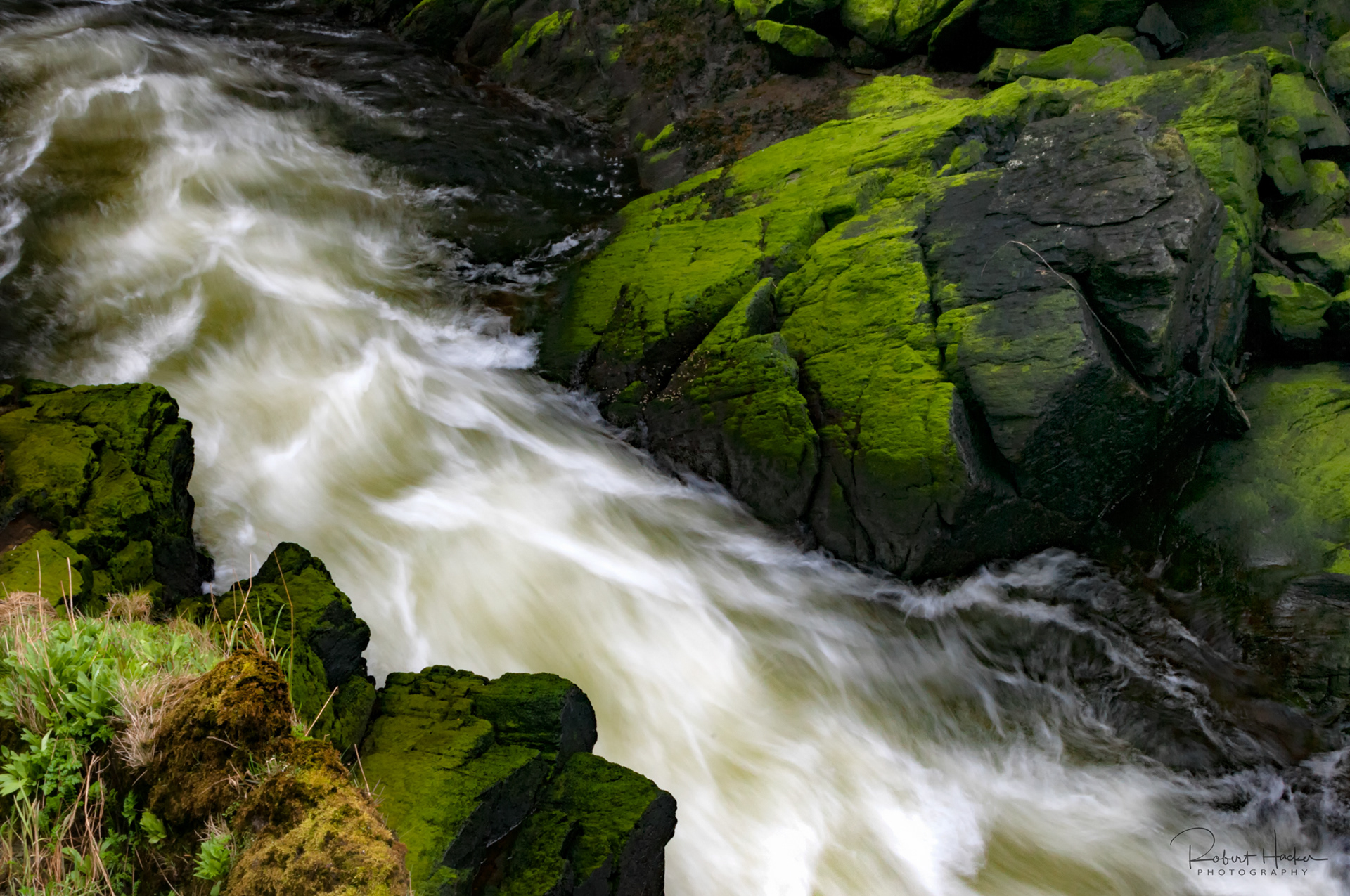Ketchikan Creek, Ketchikan, AK