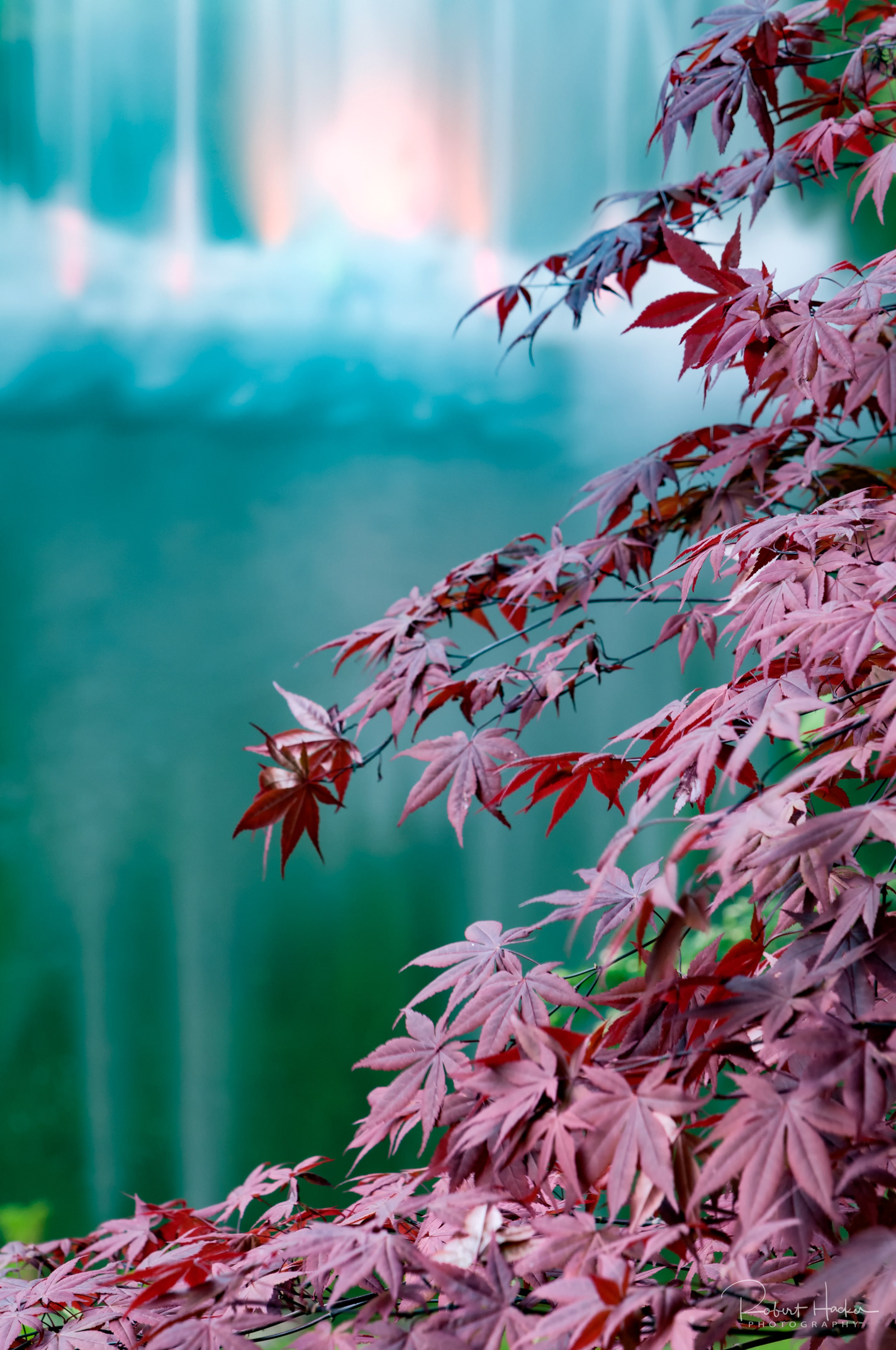 Buchart Gardens, Victoria, BC, Canada