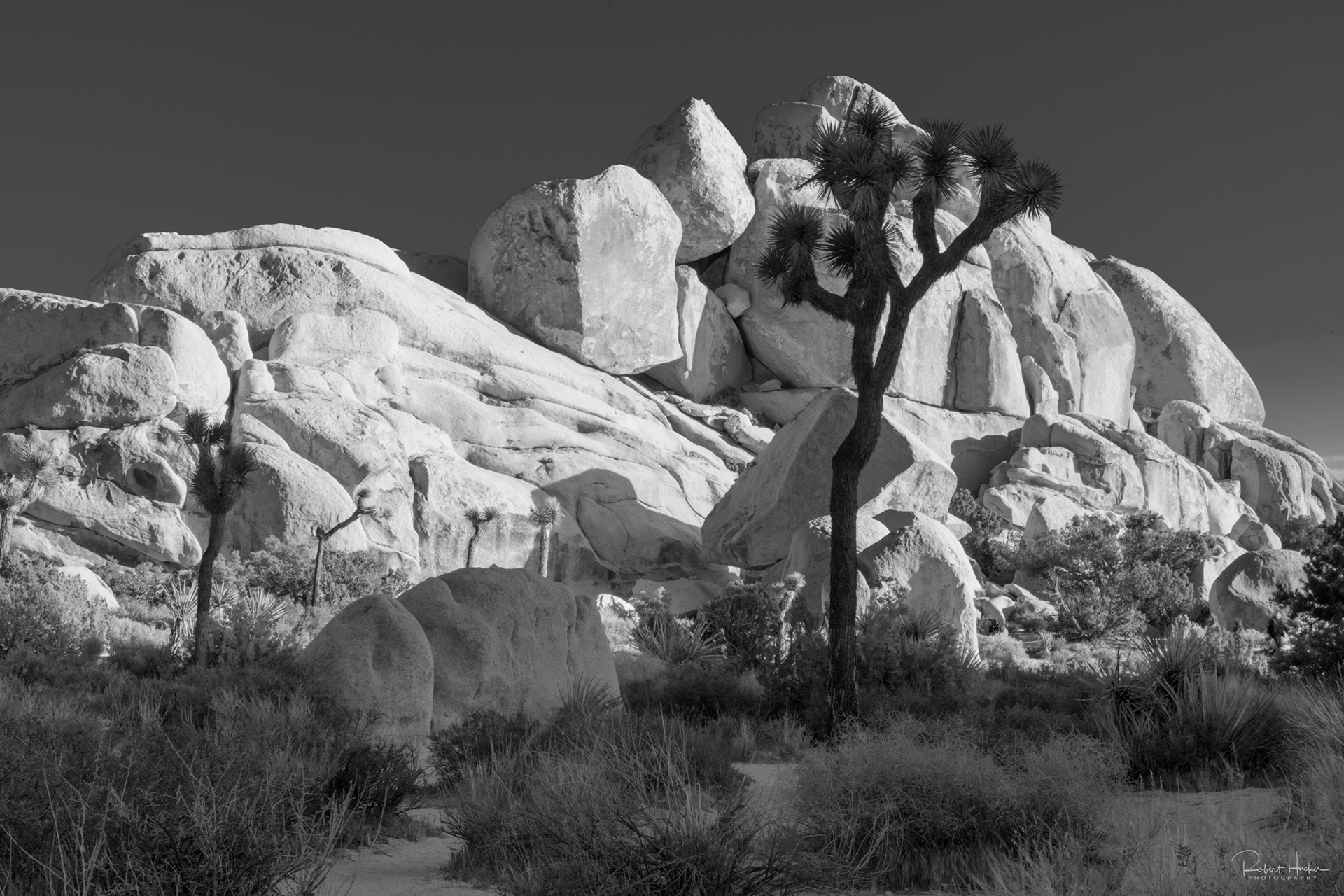 Hall of Horrors, Joshua Tree National Park, California