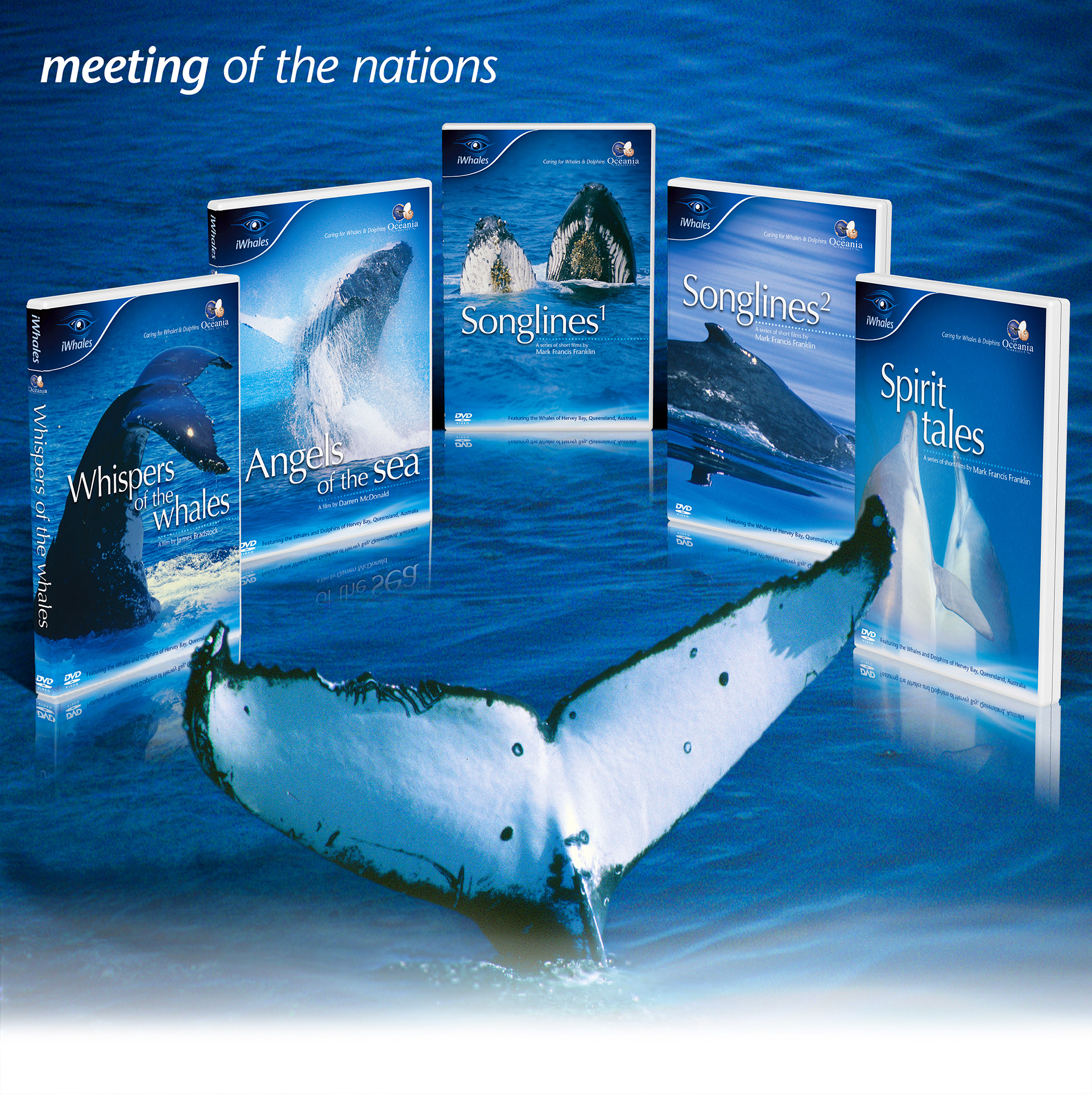 iWhales DVD range poster image showing all five DVD Titles.