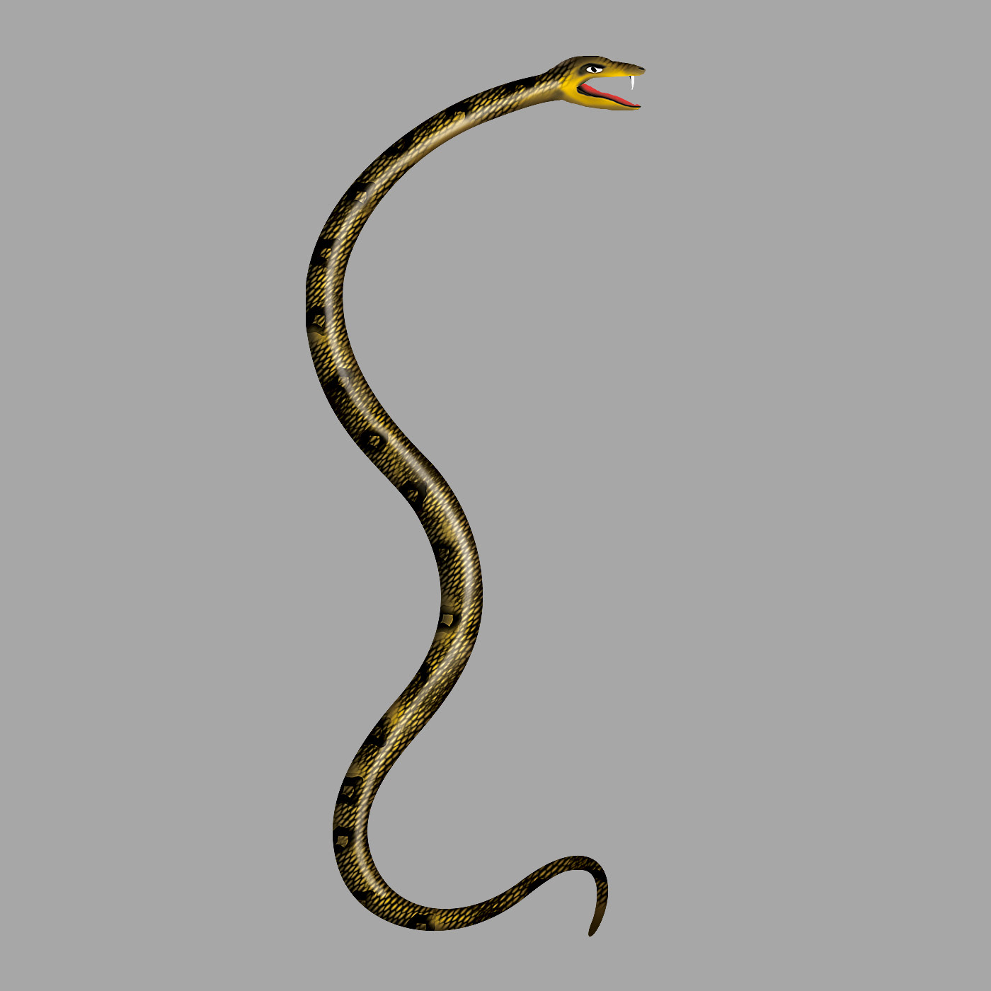 Illustration of light green snake with dark circular pattern.