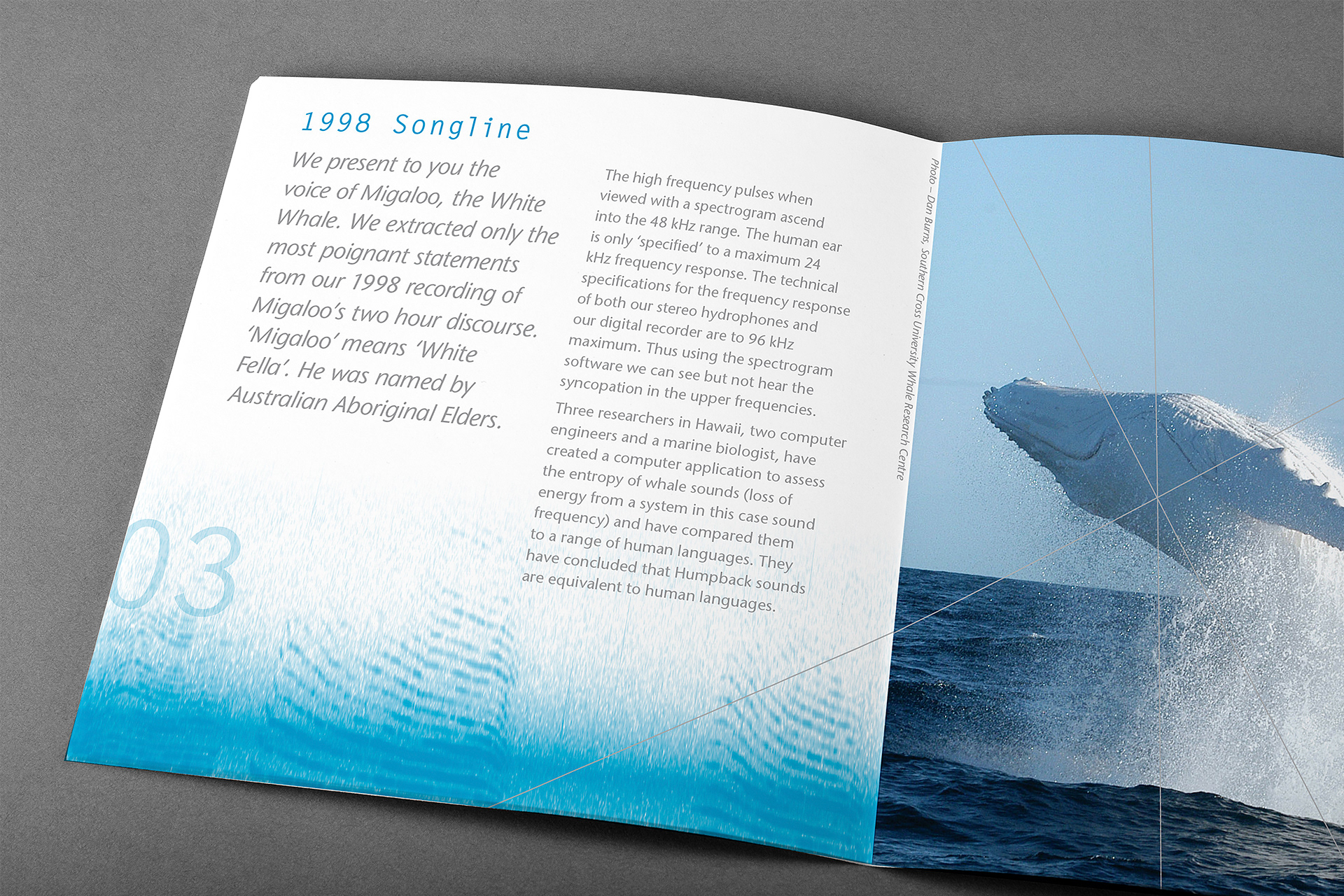 Internal page spread of the 1998 Humpback Whale Songline.