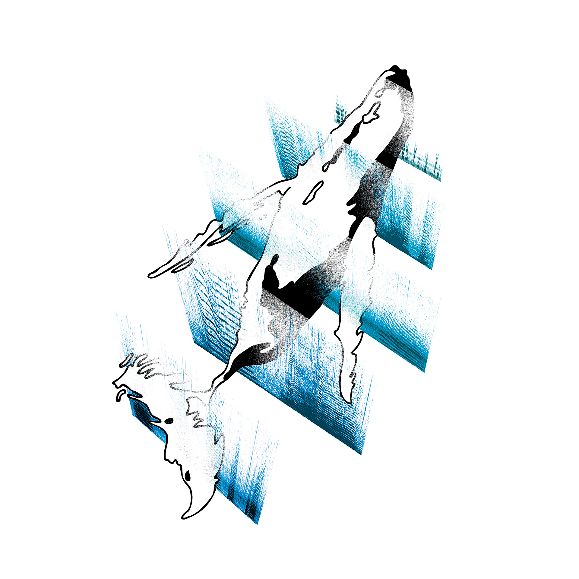 Final cover art showing the fingerprint of each whale song.