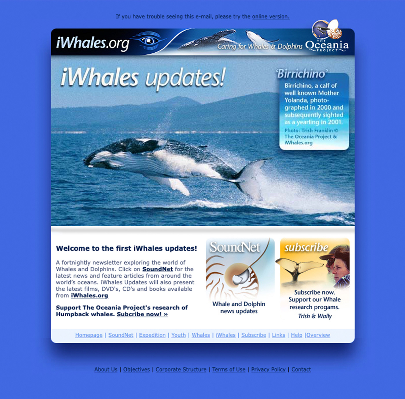 iWhales updates email newsletter design.