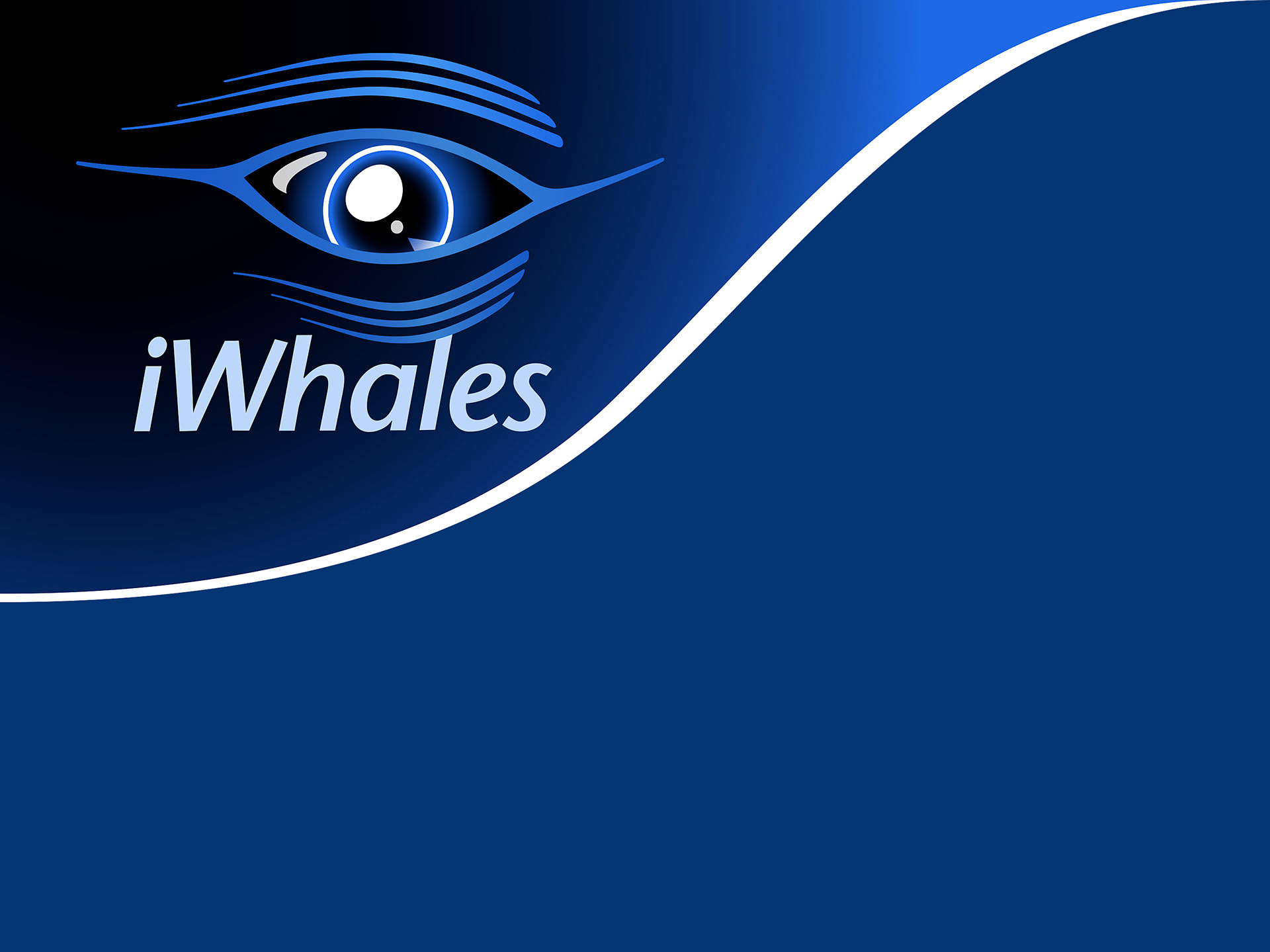iWhales logo contained in banner lockup that curves on the right side in the shape of a Humpback Whales mouth.