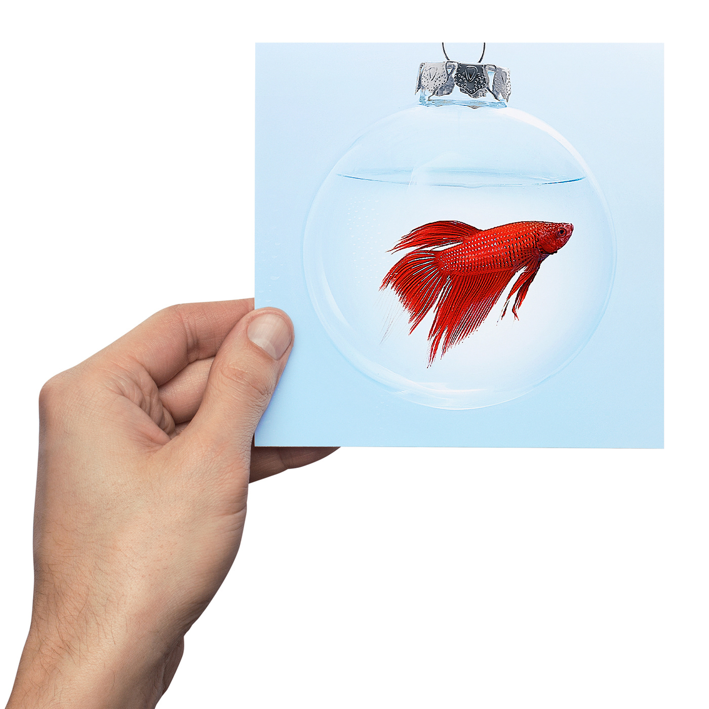 Hand holding the ishimodo 2012 Christmas card with promotional image on front cover.