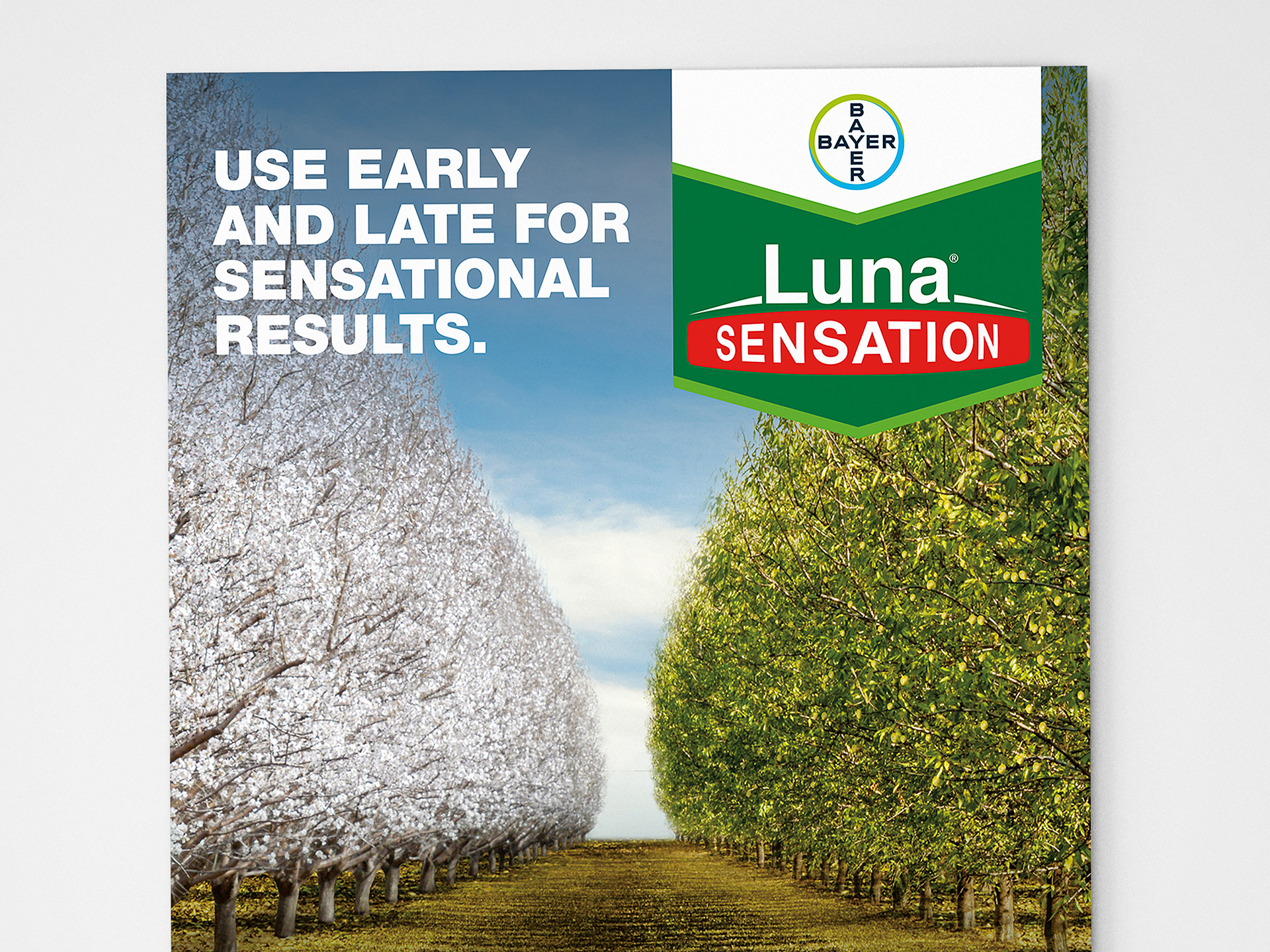 Bayer Luna Retouching